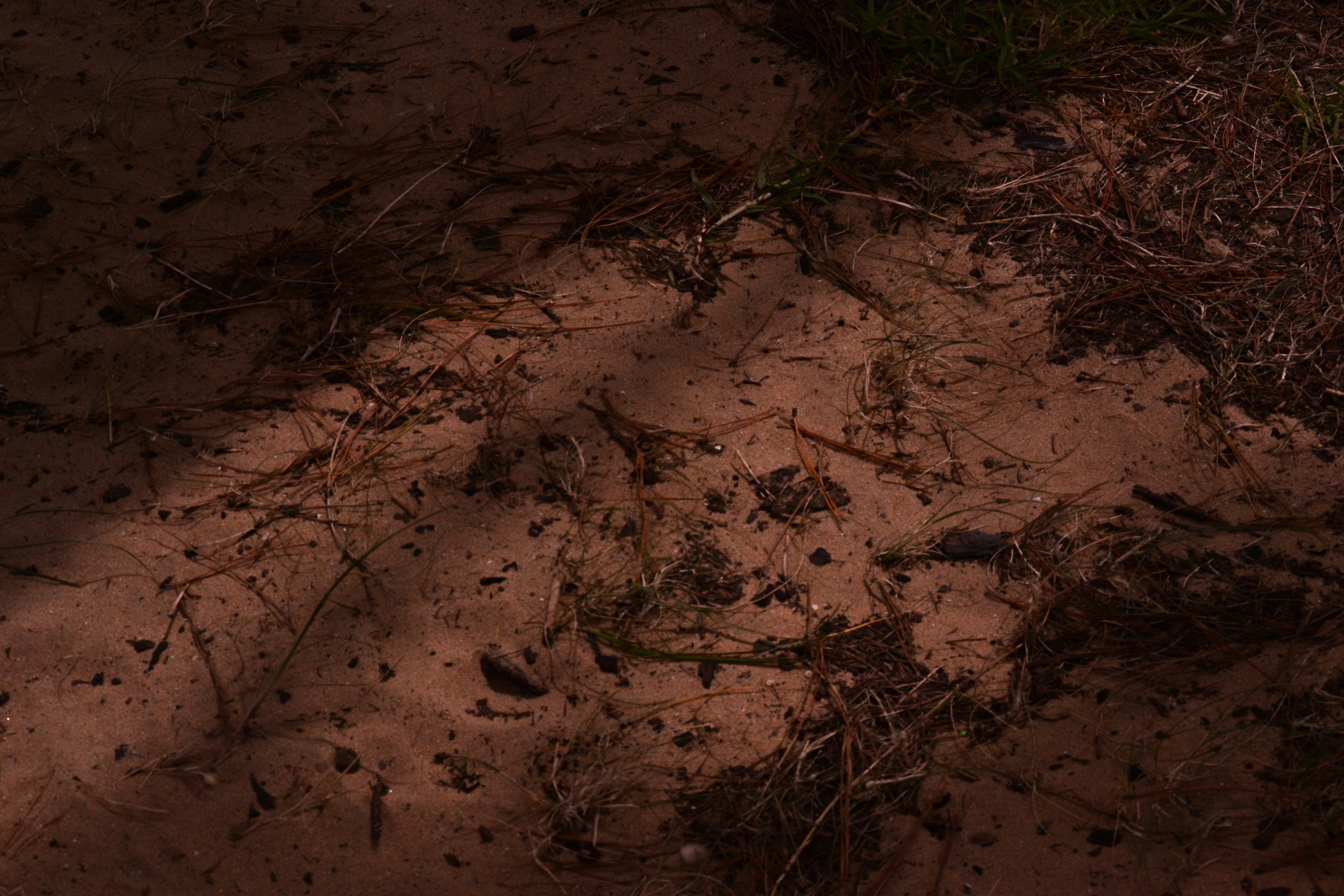 A red fire hydrant sitting on top of a dirt field