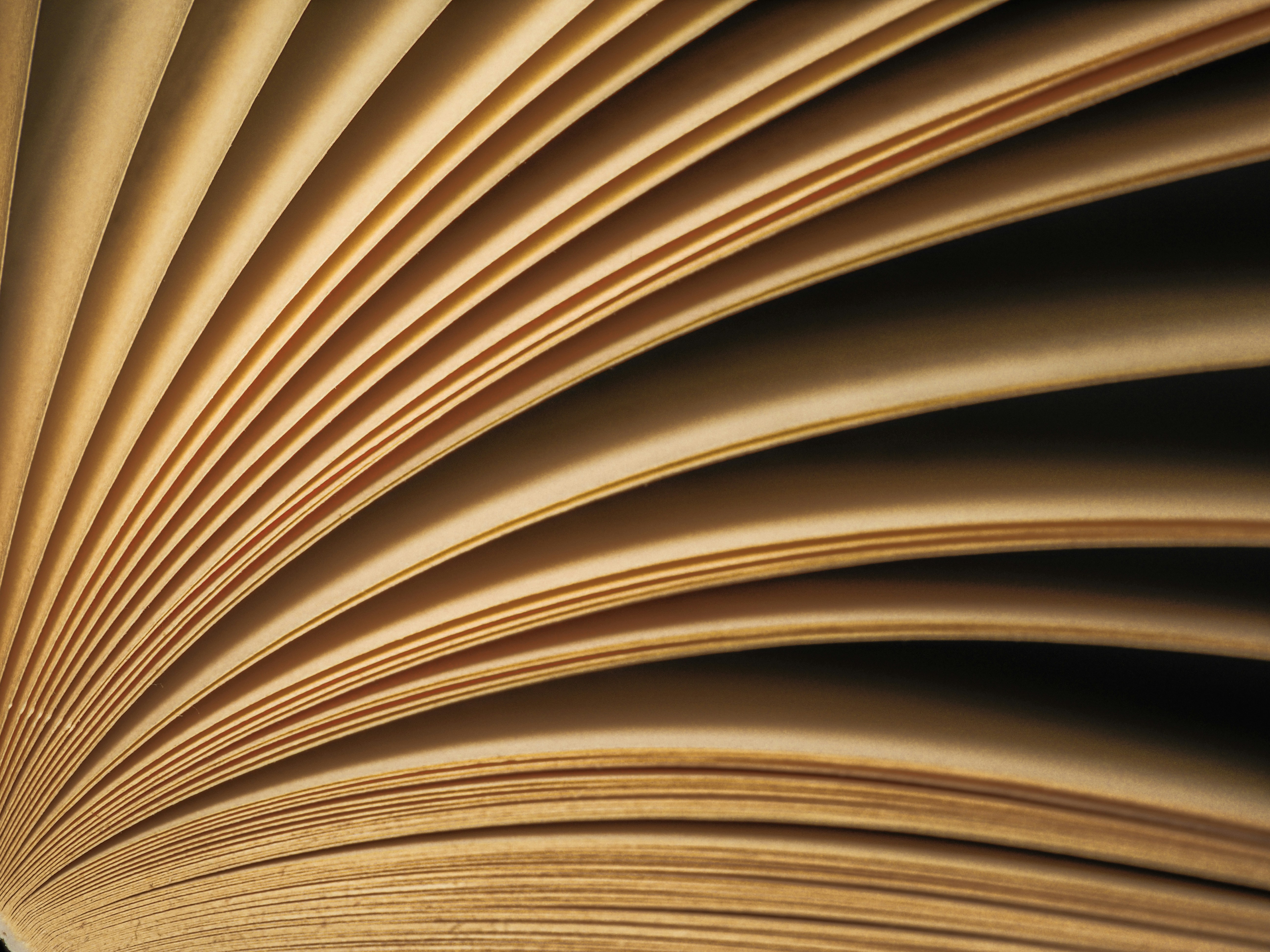 A close up of an open book on a table