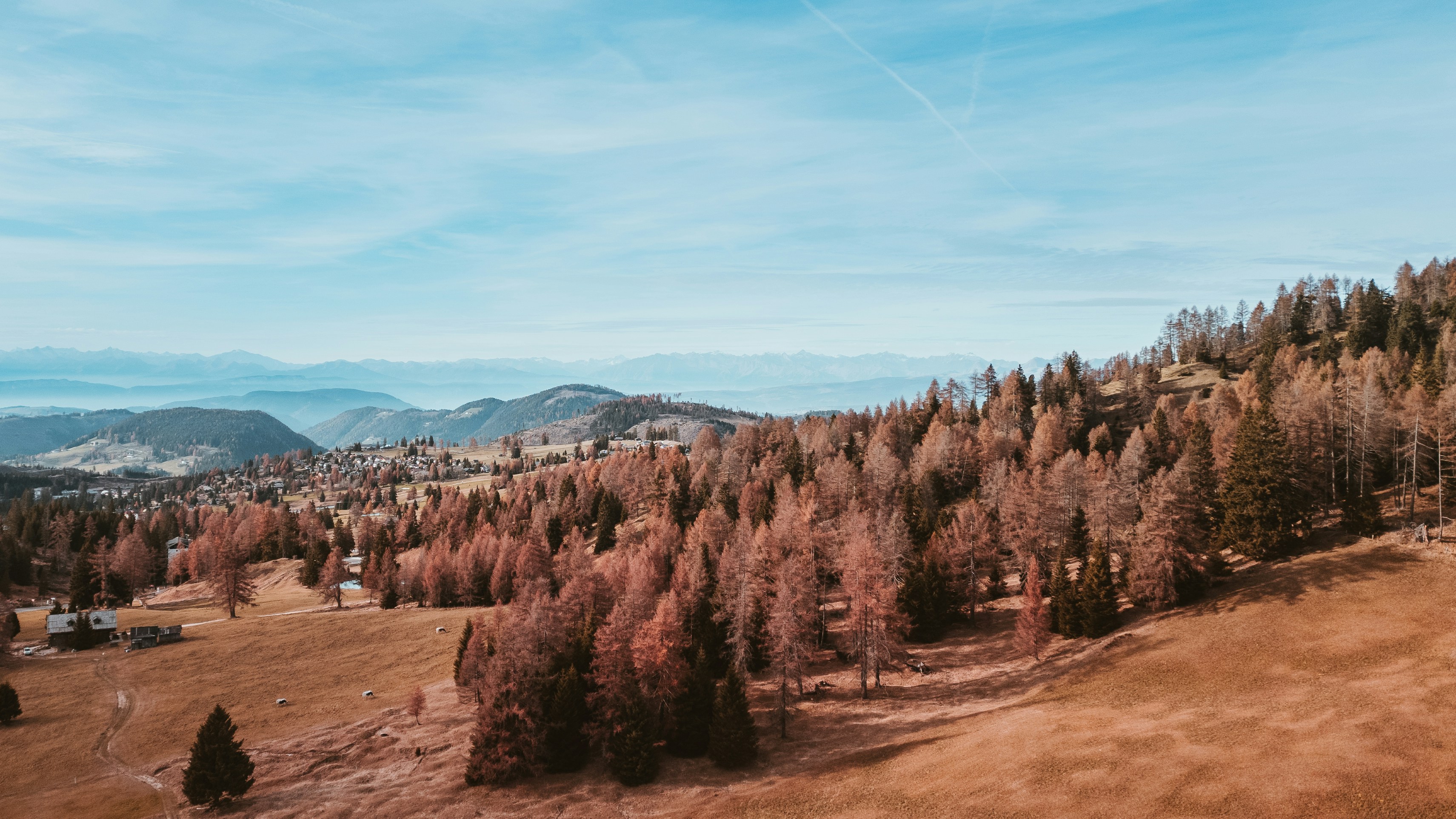 Photo by shutter_speed_