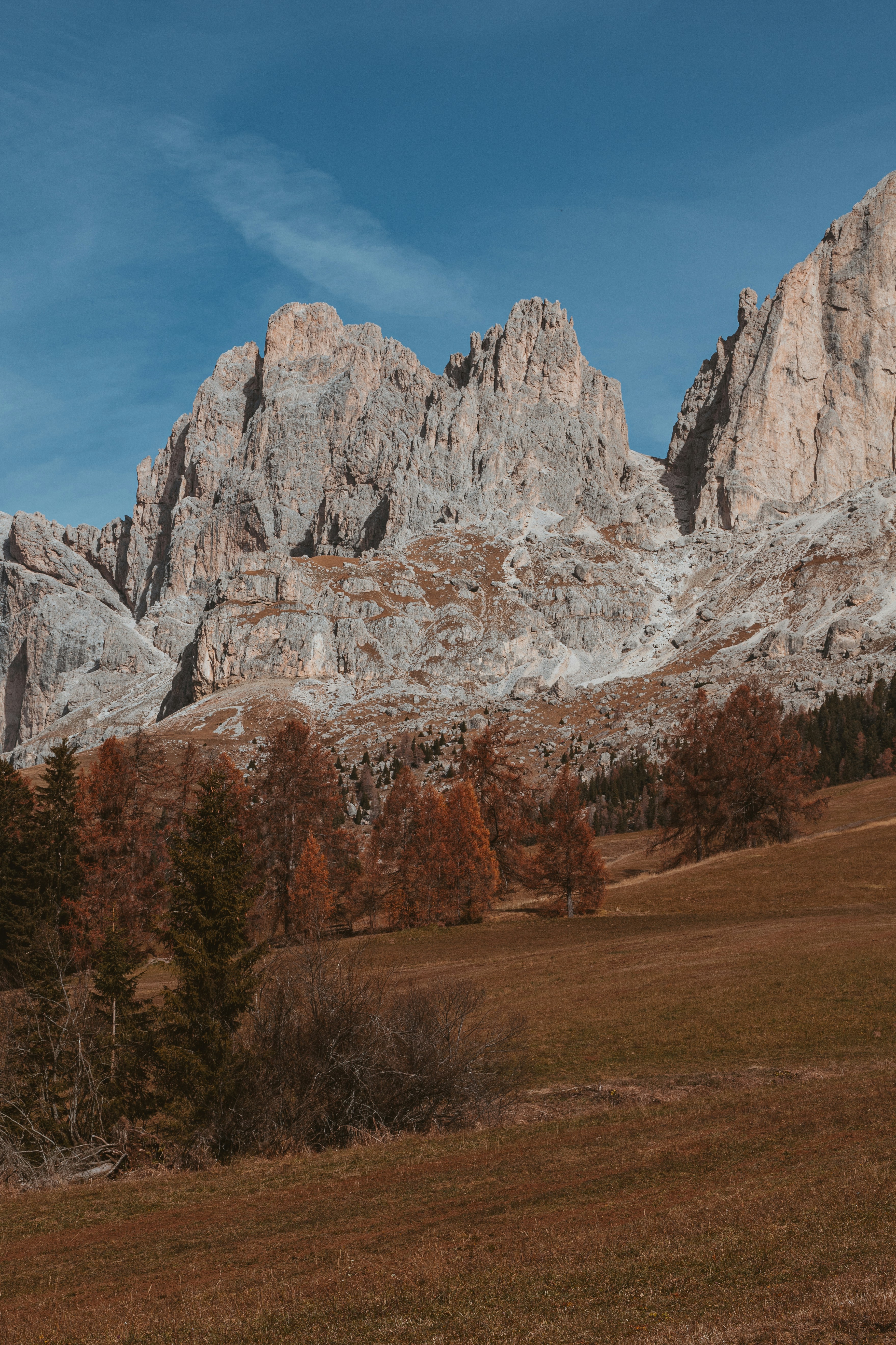 Photo by shutter_speed_