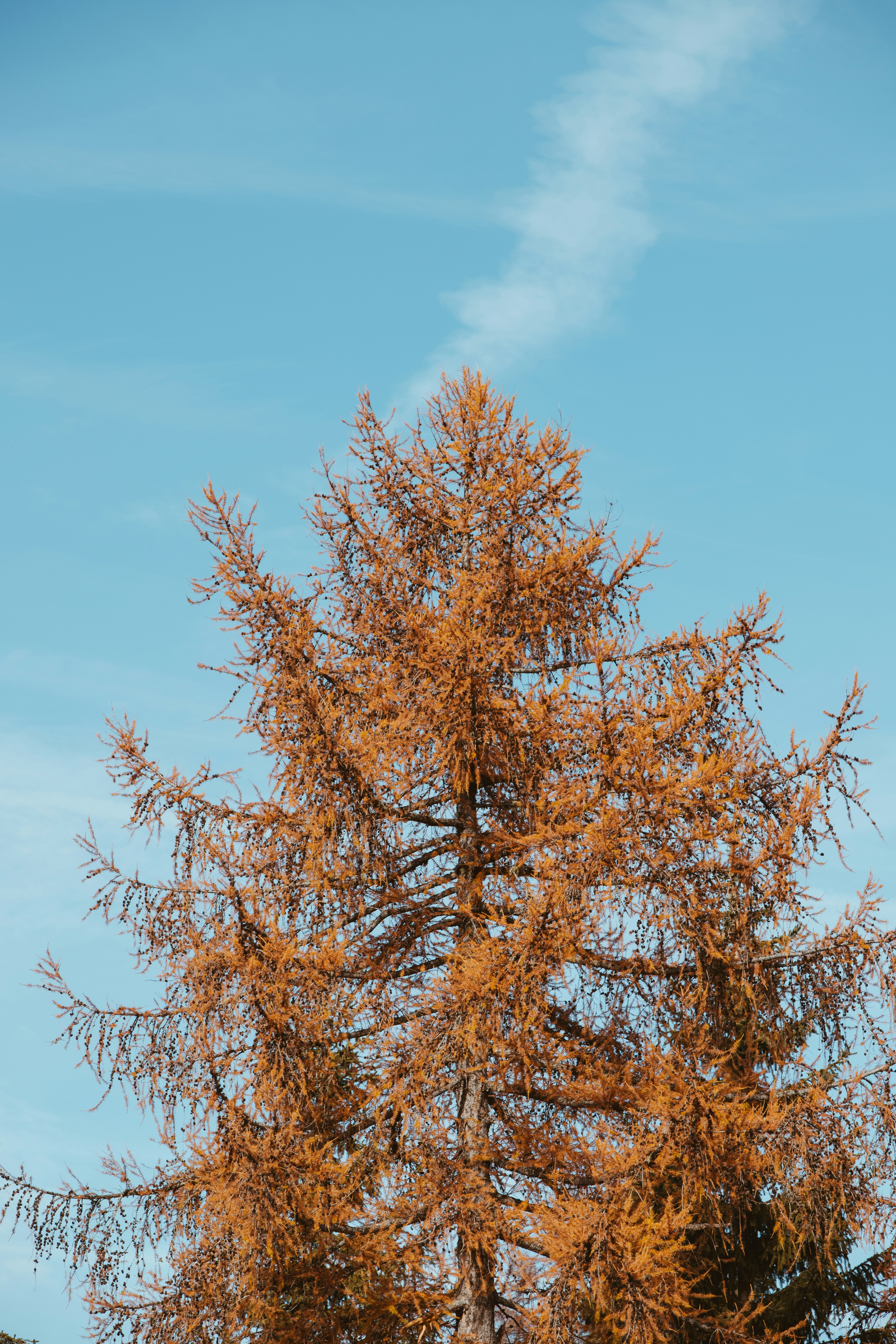 Photo by shutter_speed_