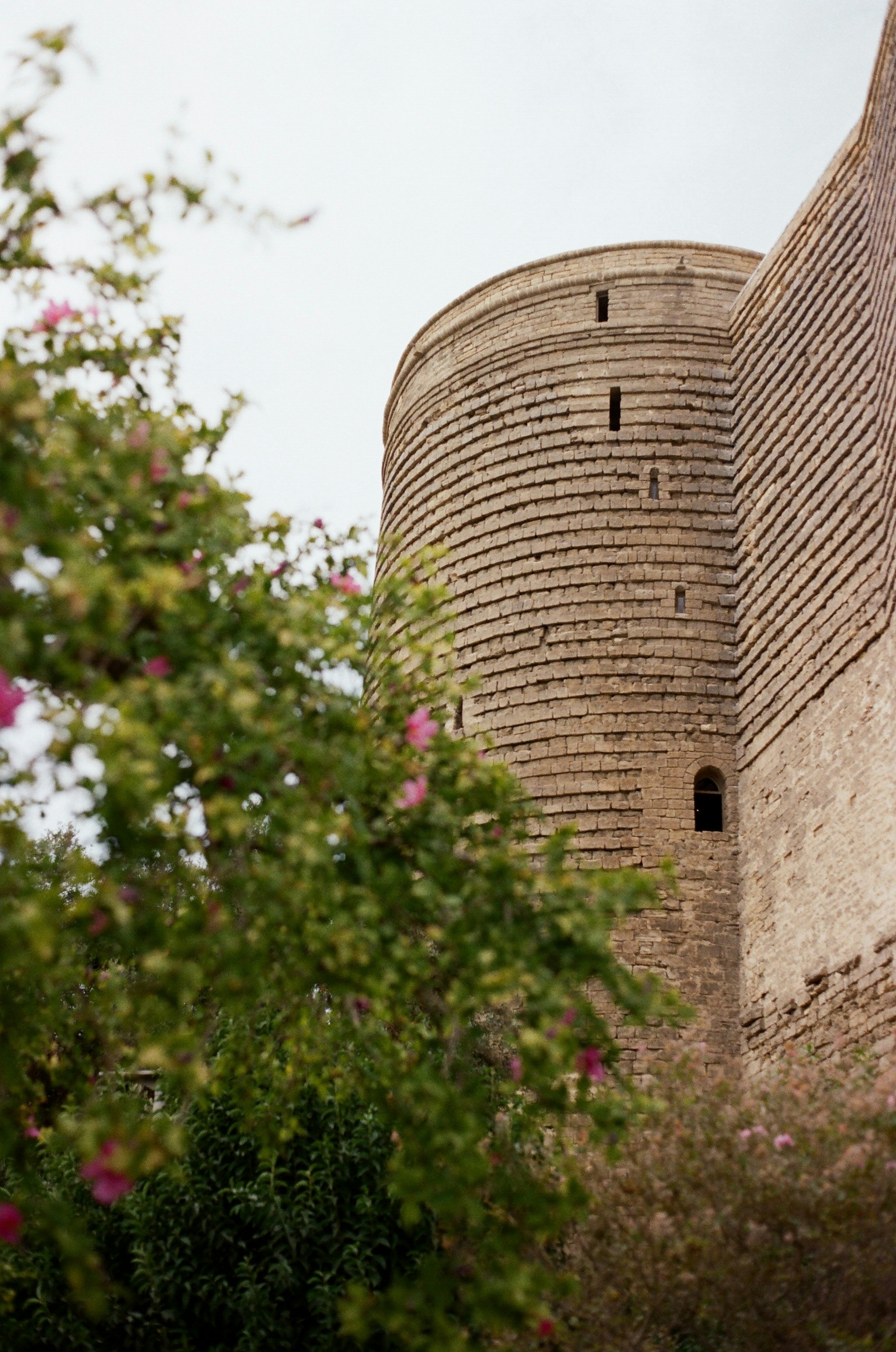 Photo by thesilvafocus