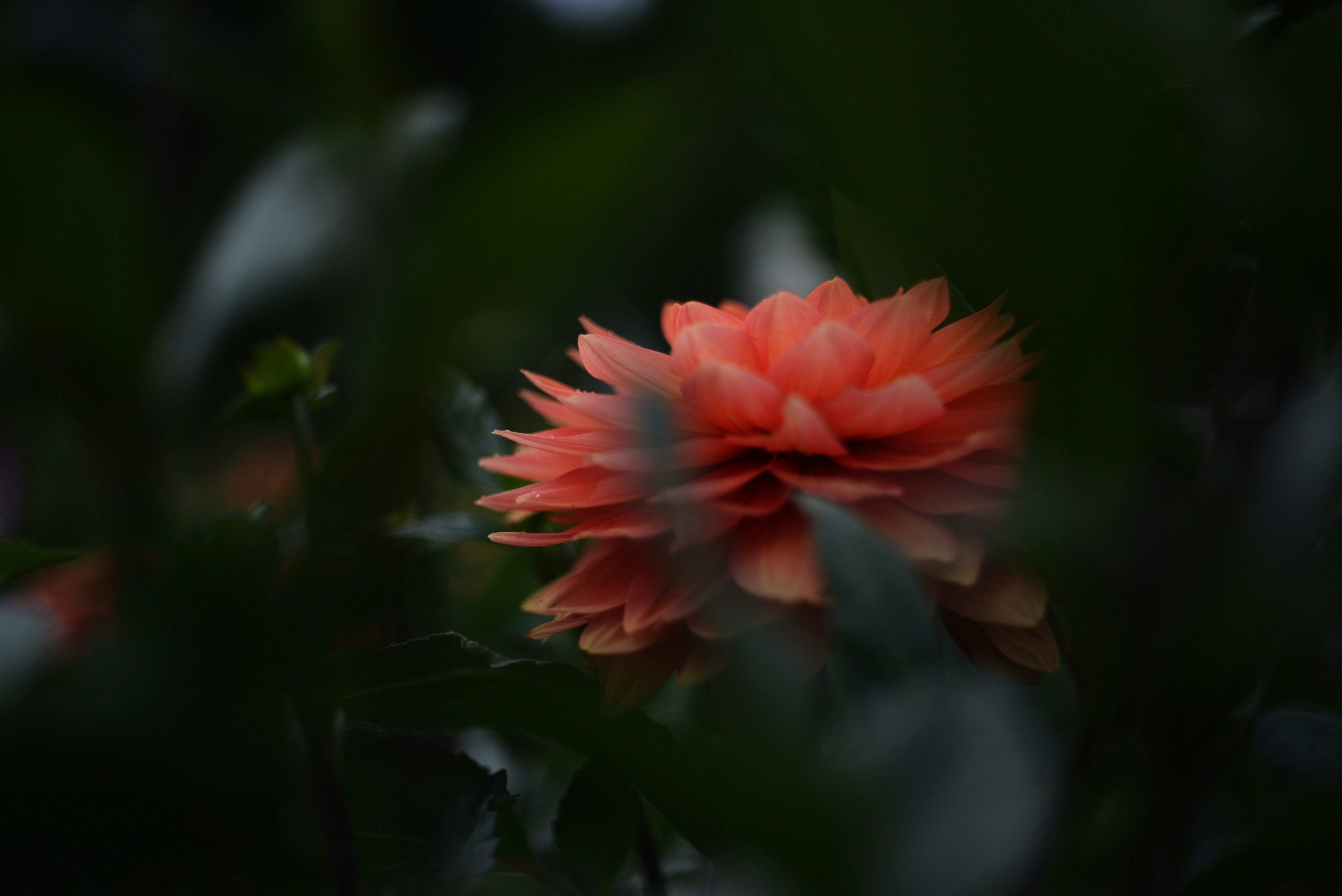 Photo by cherstve_pechivo