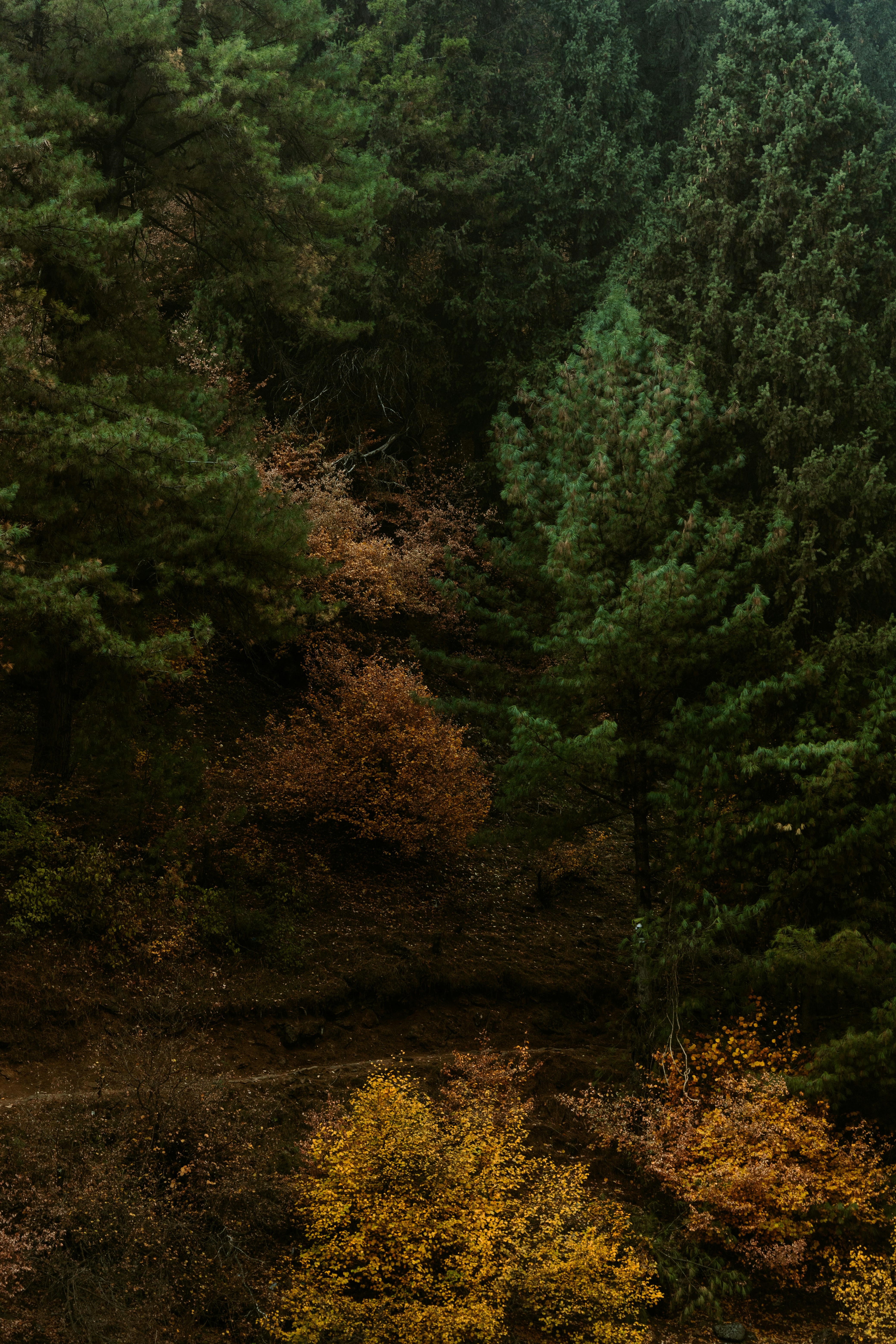 Photo by amaanabidhussain