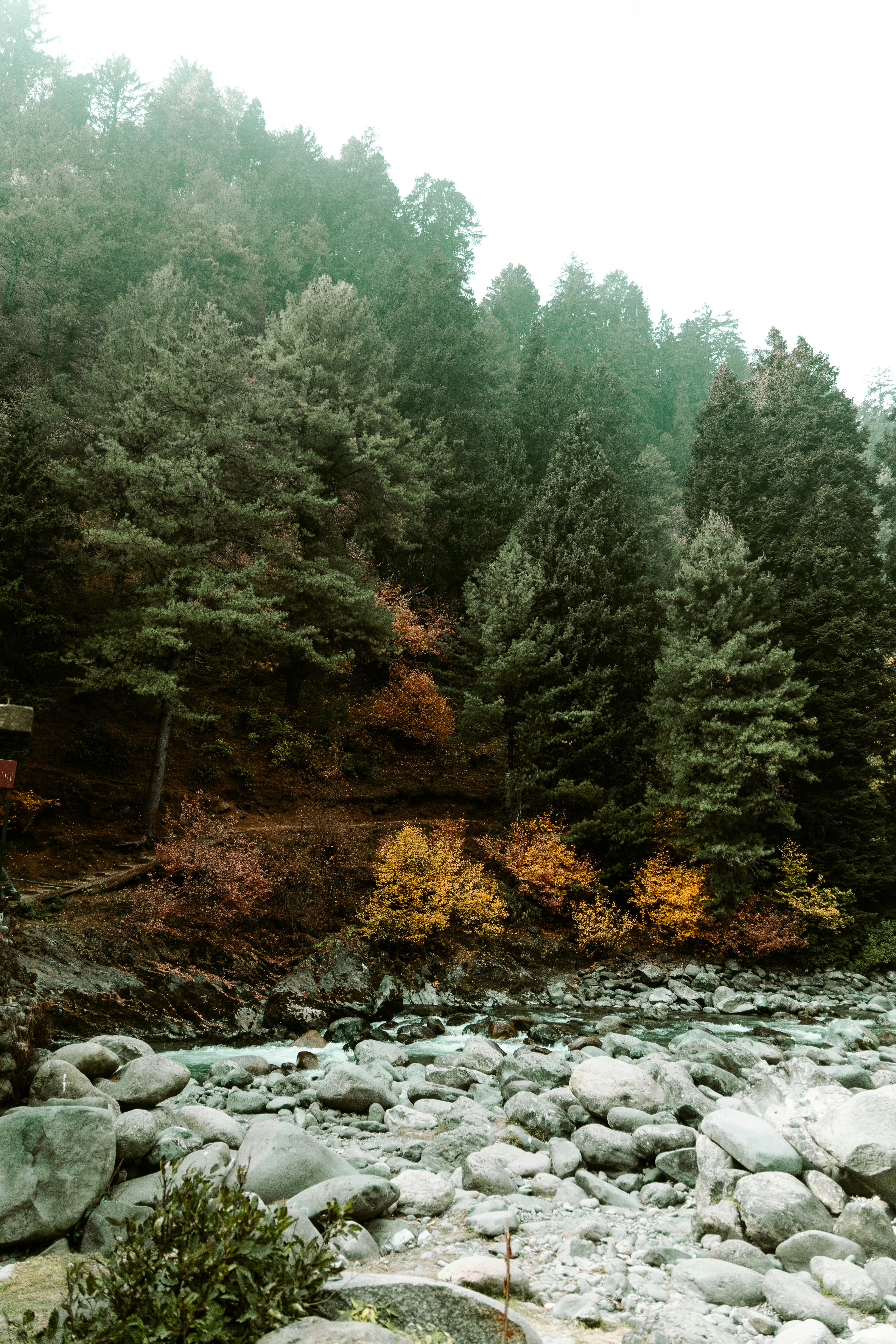 Photo by amaanabidhussain