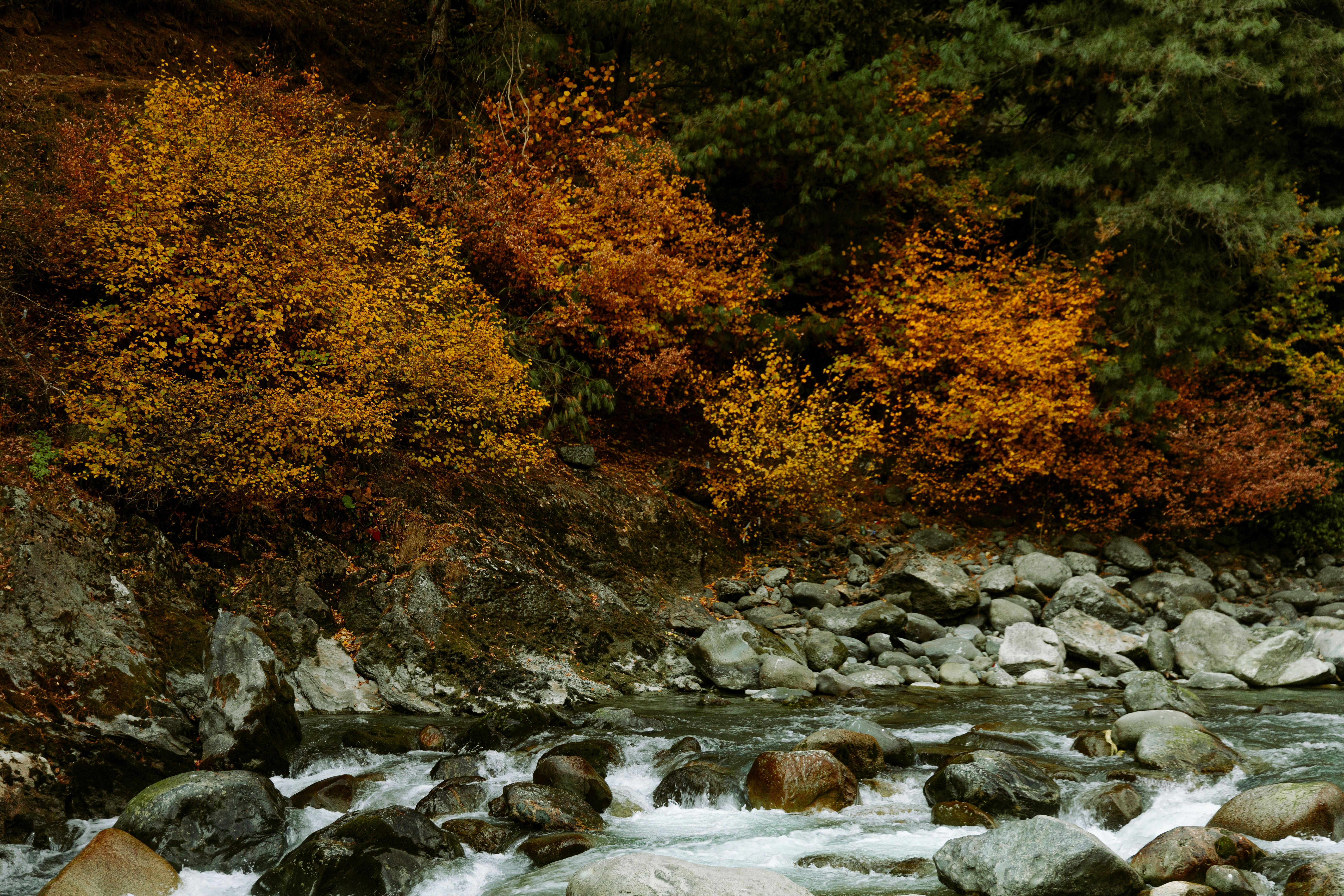 Photo by amaanabidhussain