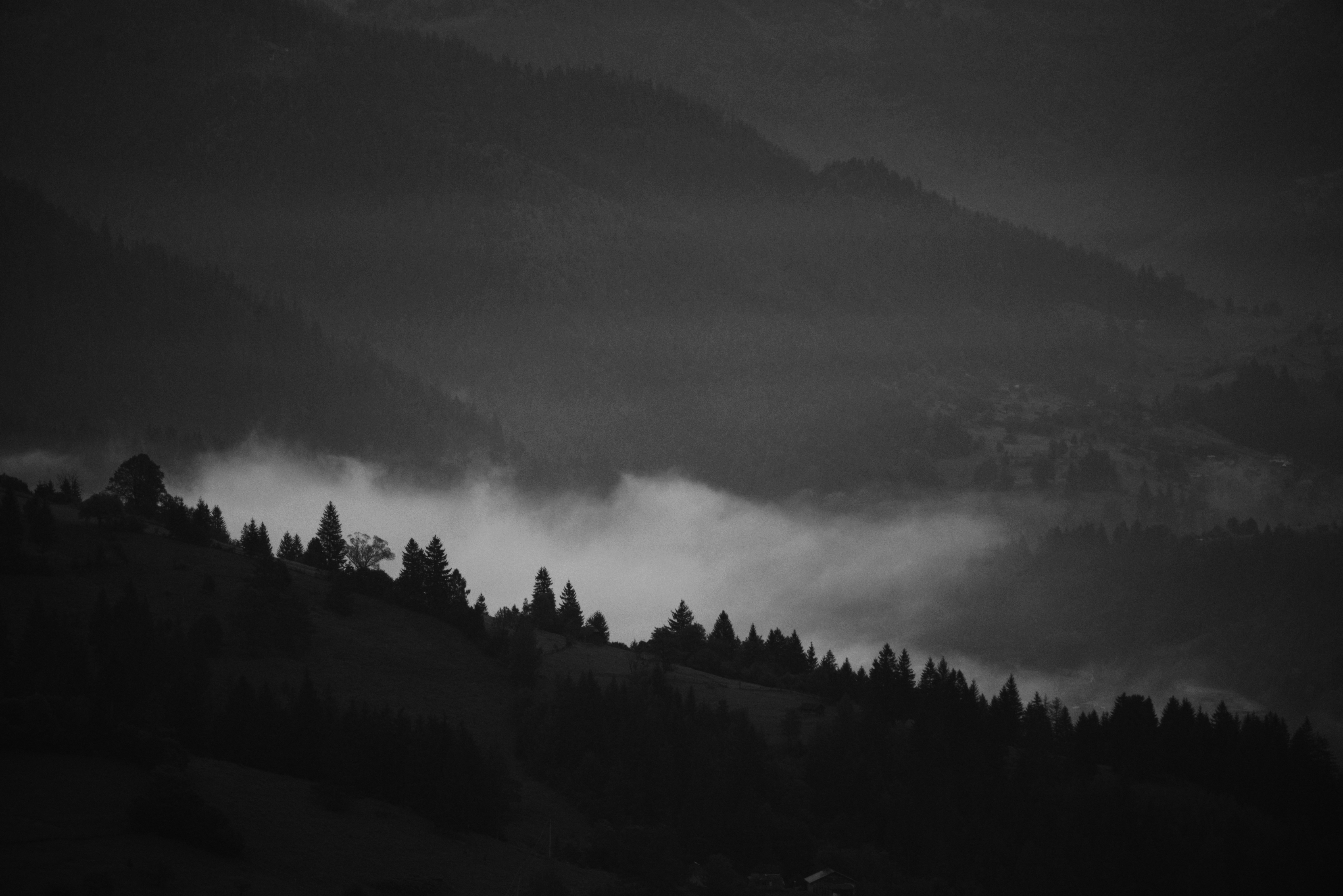 Photo by cherstve_pechivo