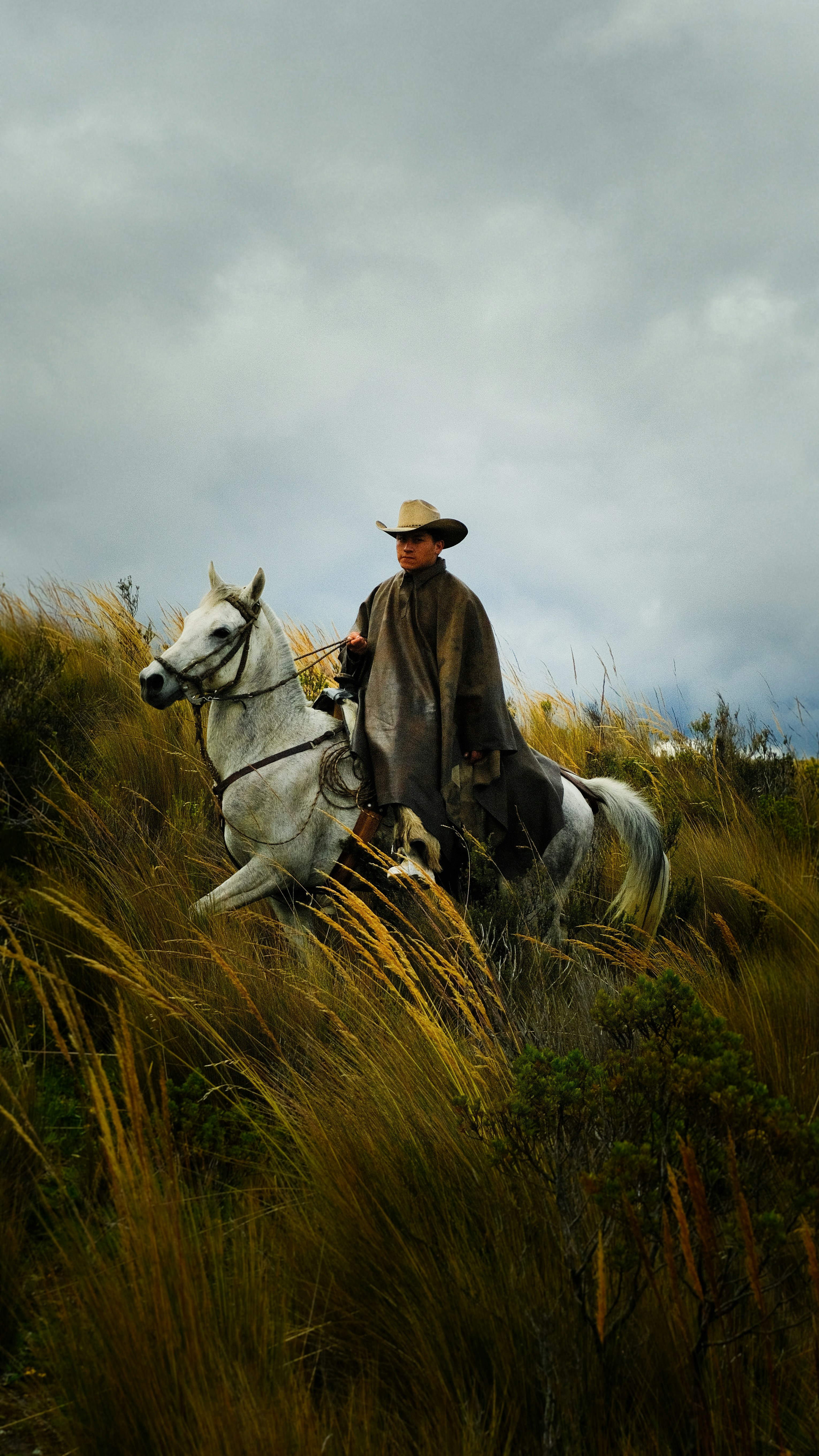 Photo by juniorphoto