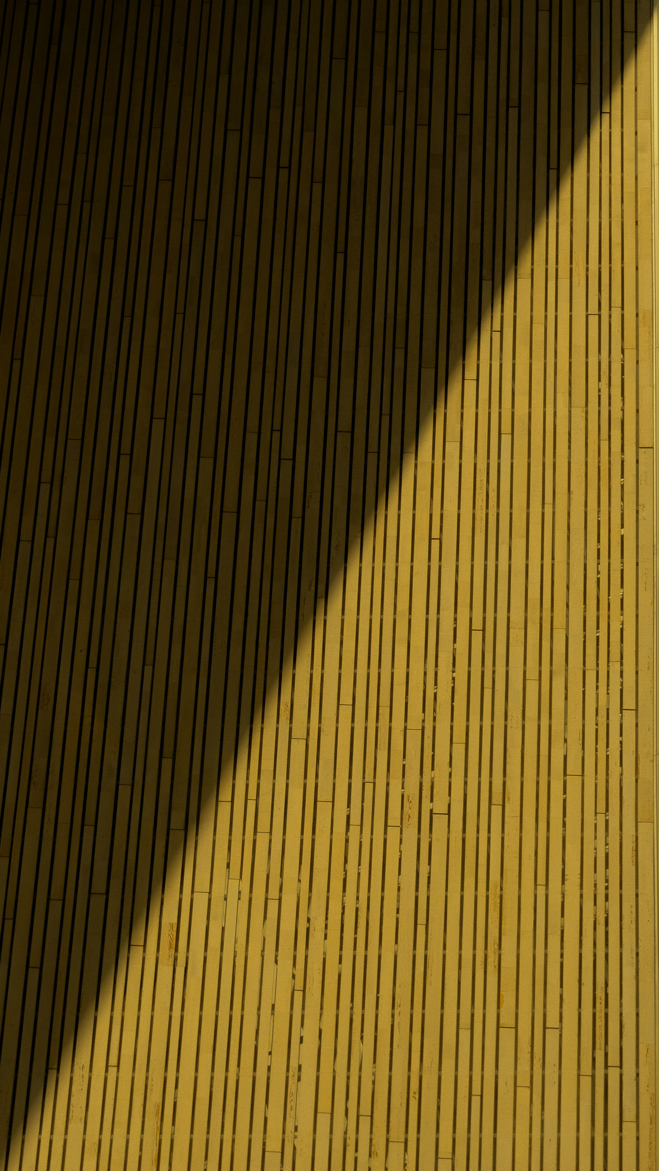 Photo by juniorphoto