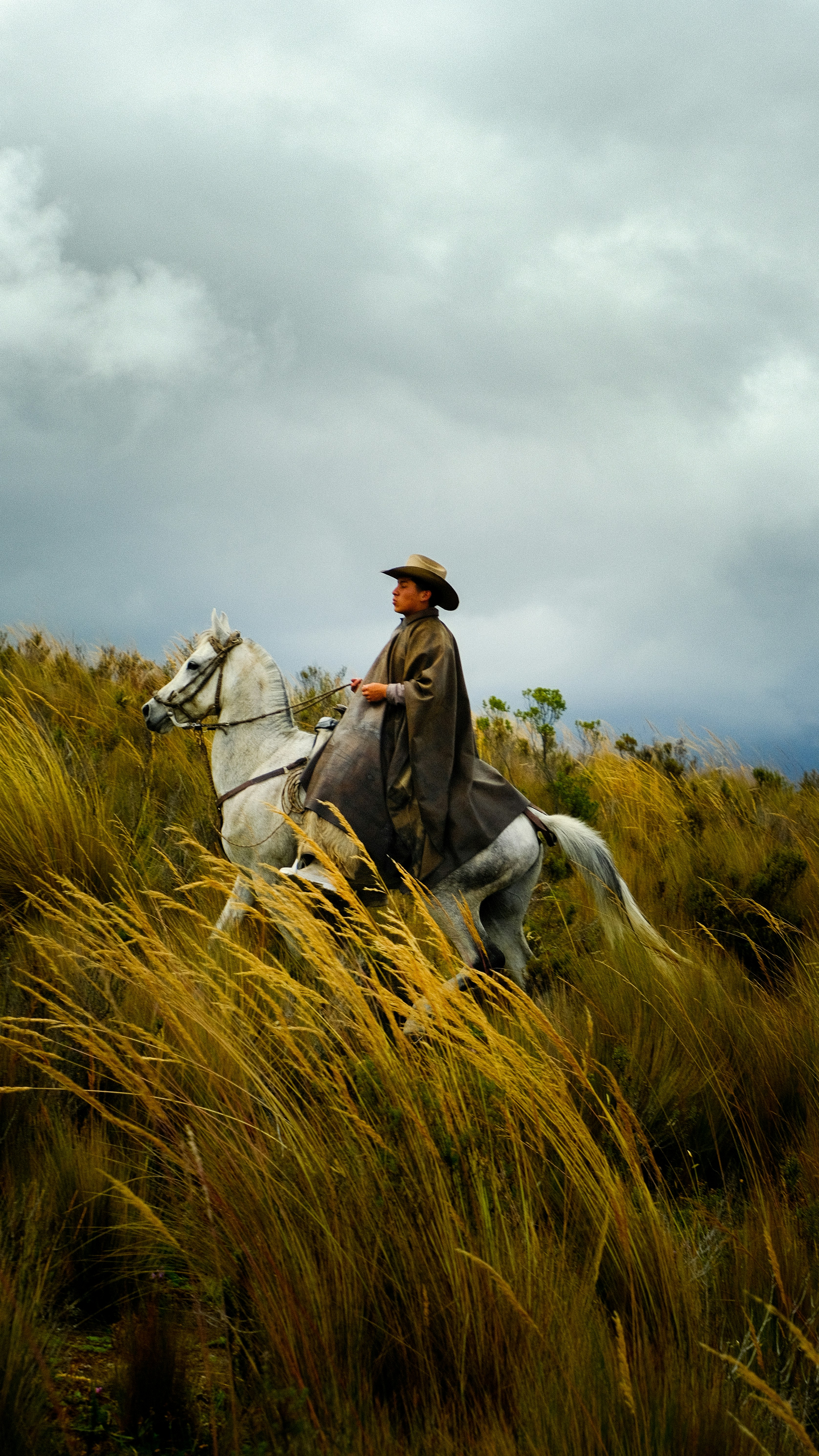 A man riding on the back of a white horse through tall grass photo ...