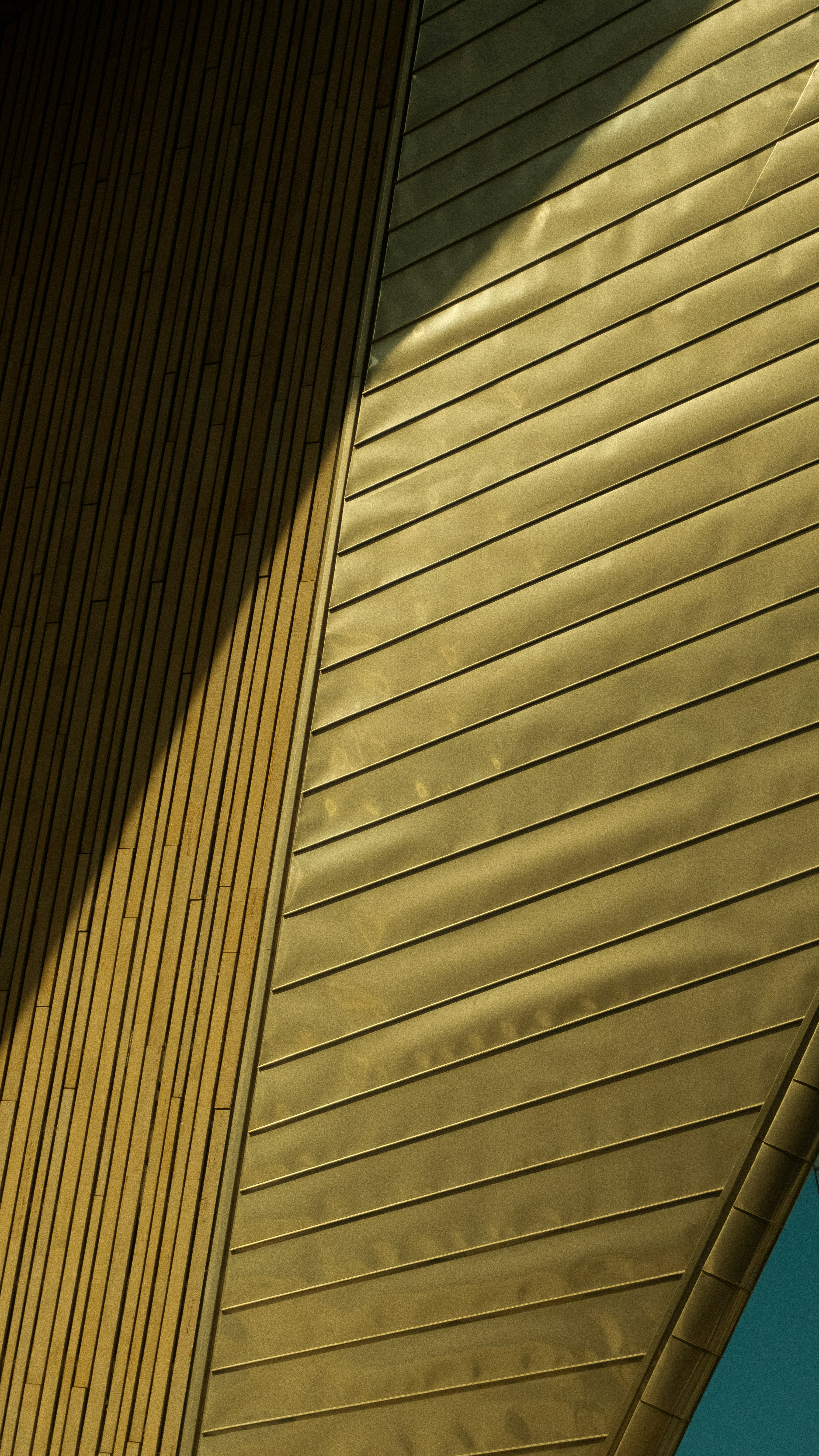 Photo by juniorphoto