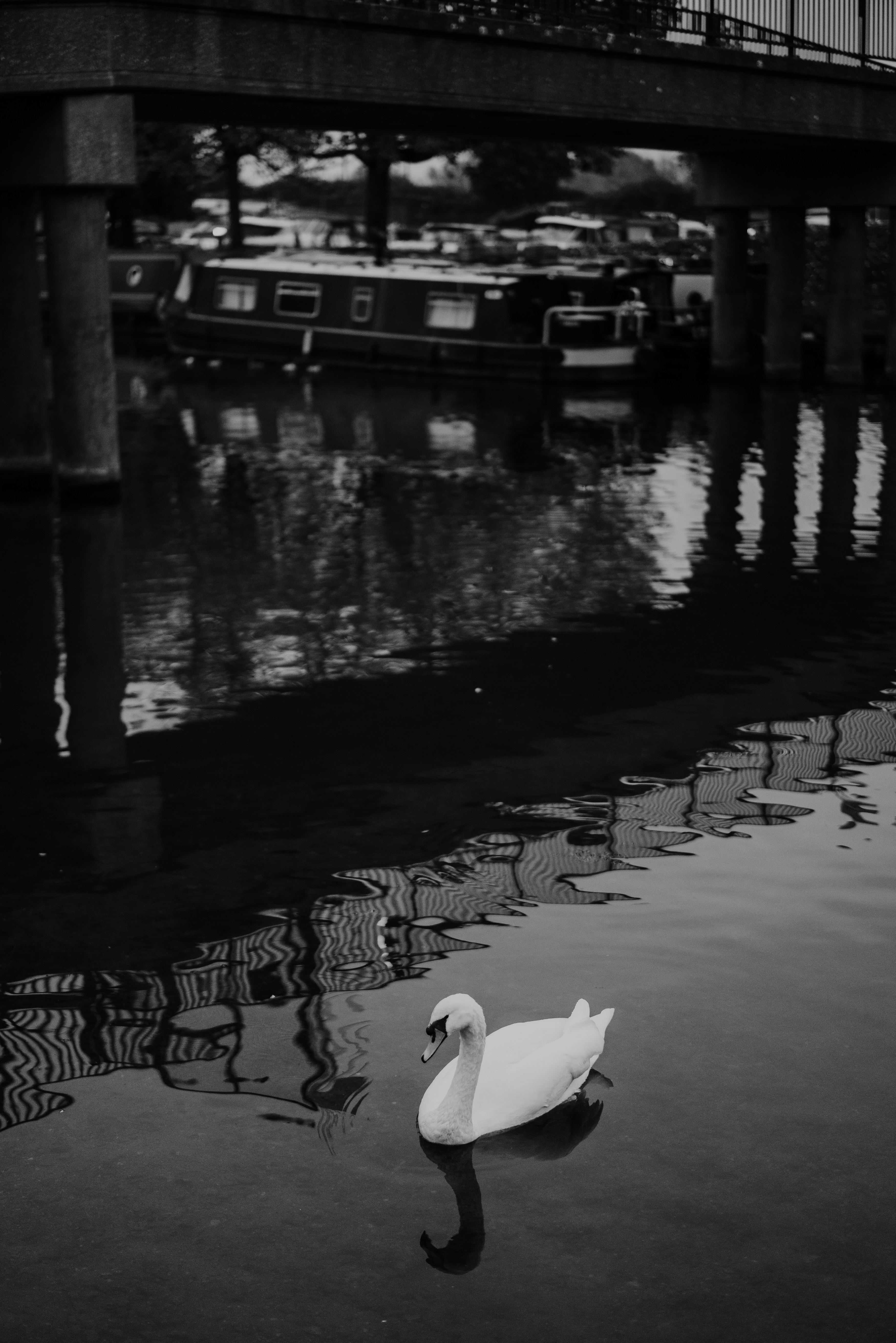 Photo by philhearing