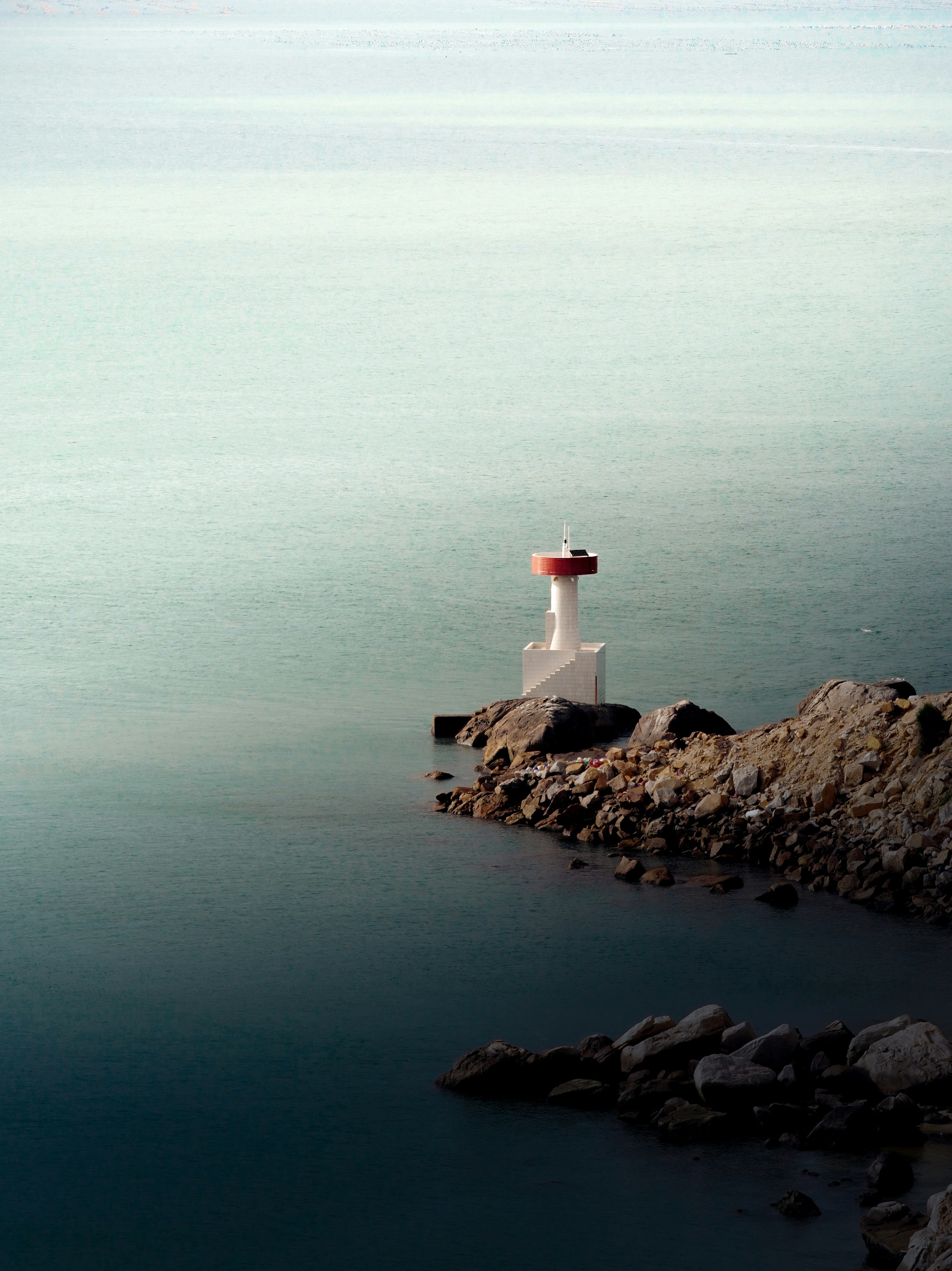 Photo by treesan