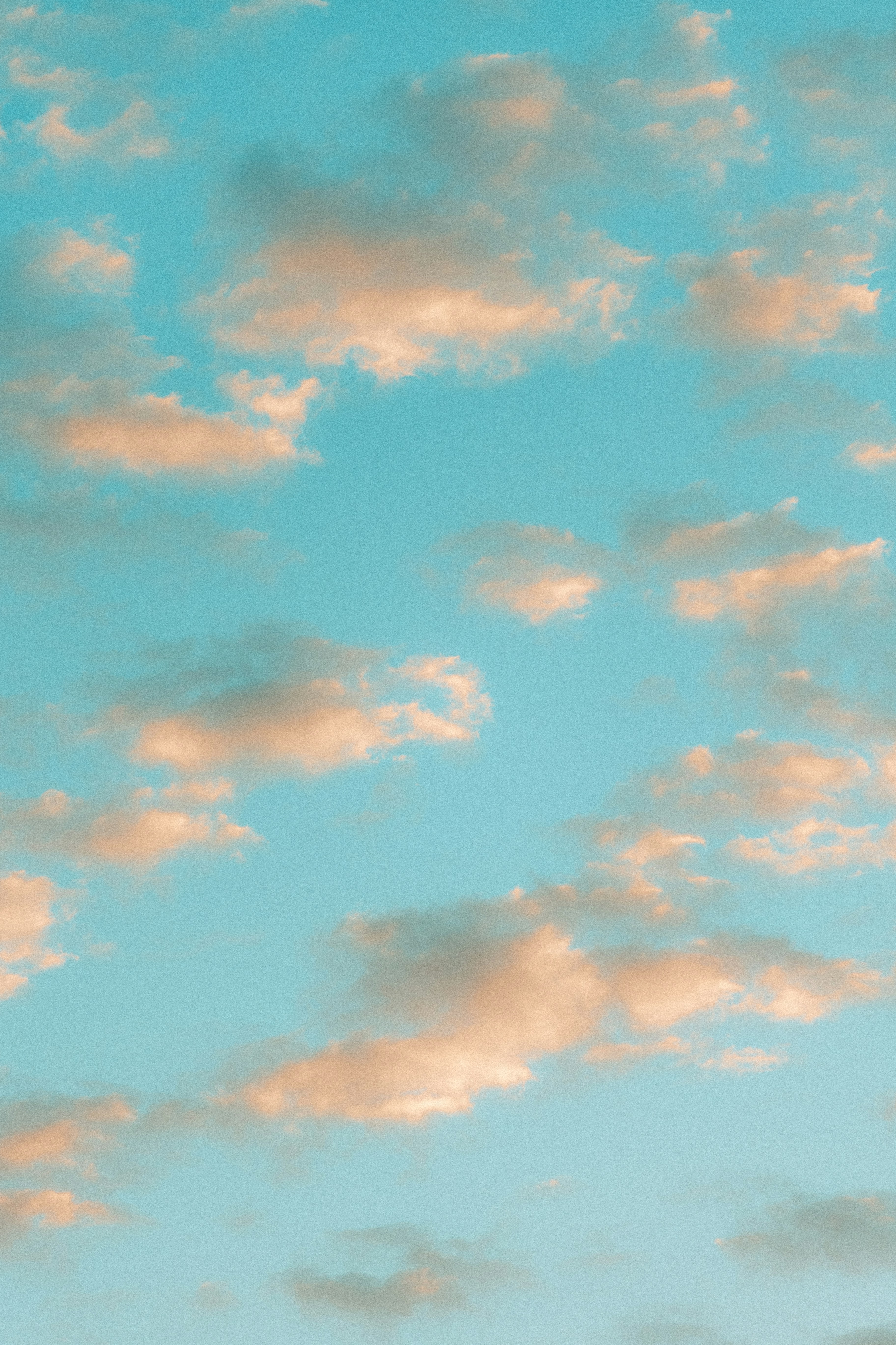 Photo by andrew_creative