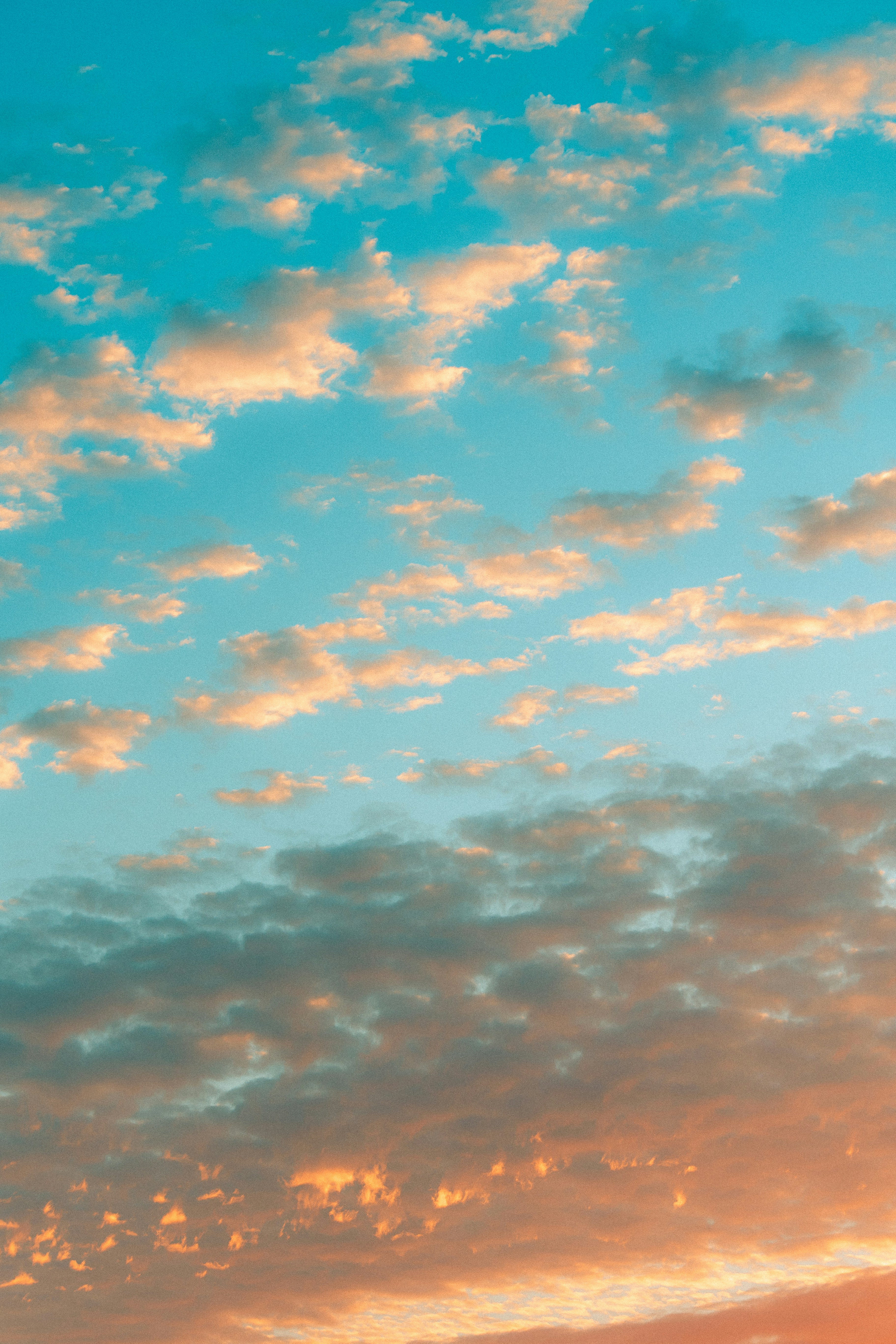 Photo by andrew_creative