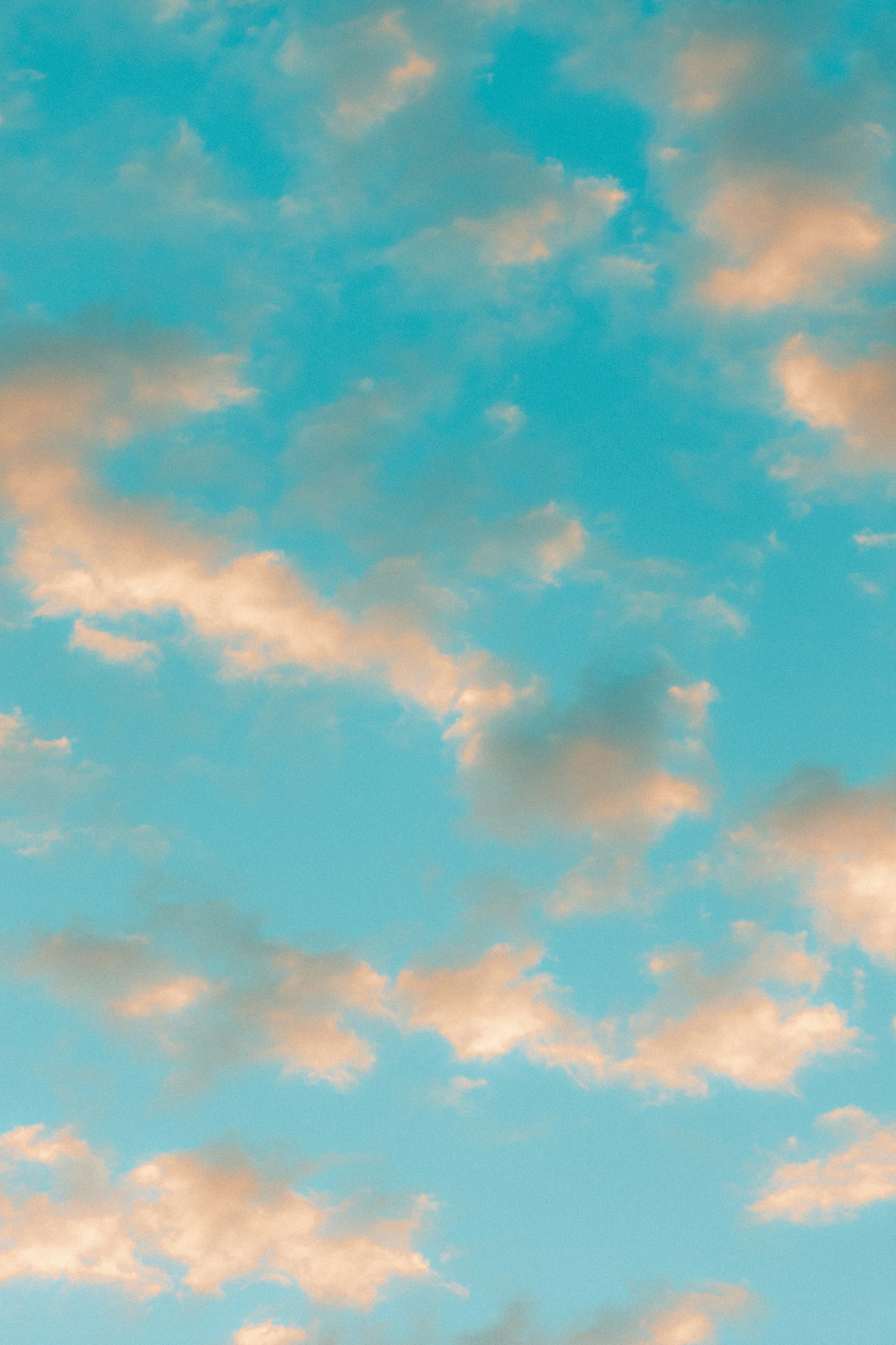 Photo by andrew_creative