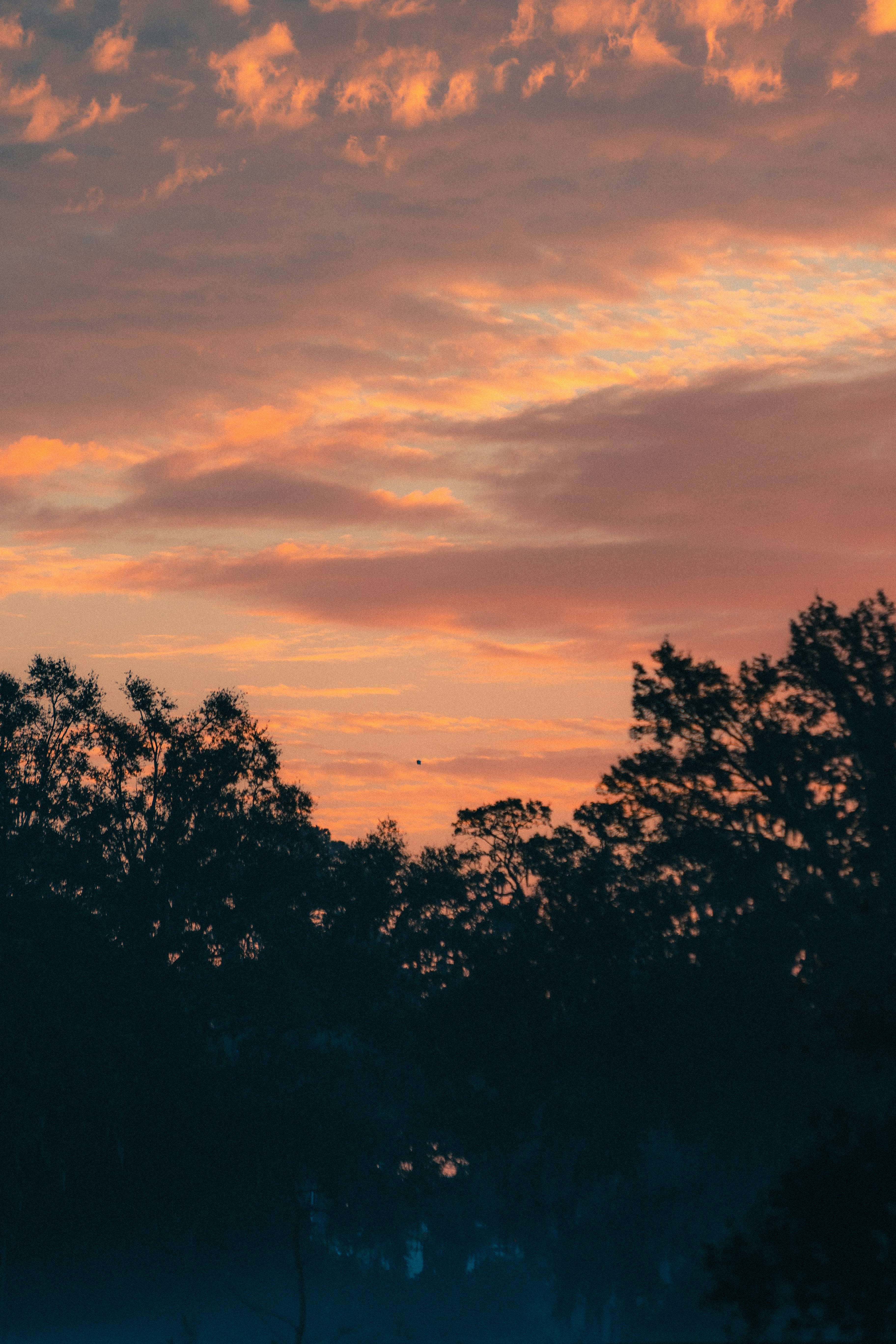 Photo by andrew_creative