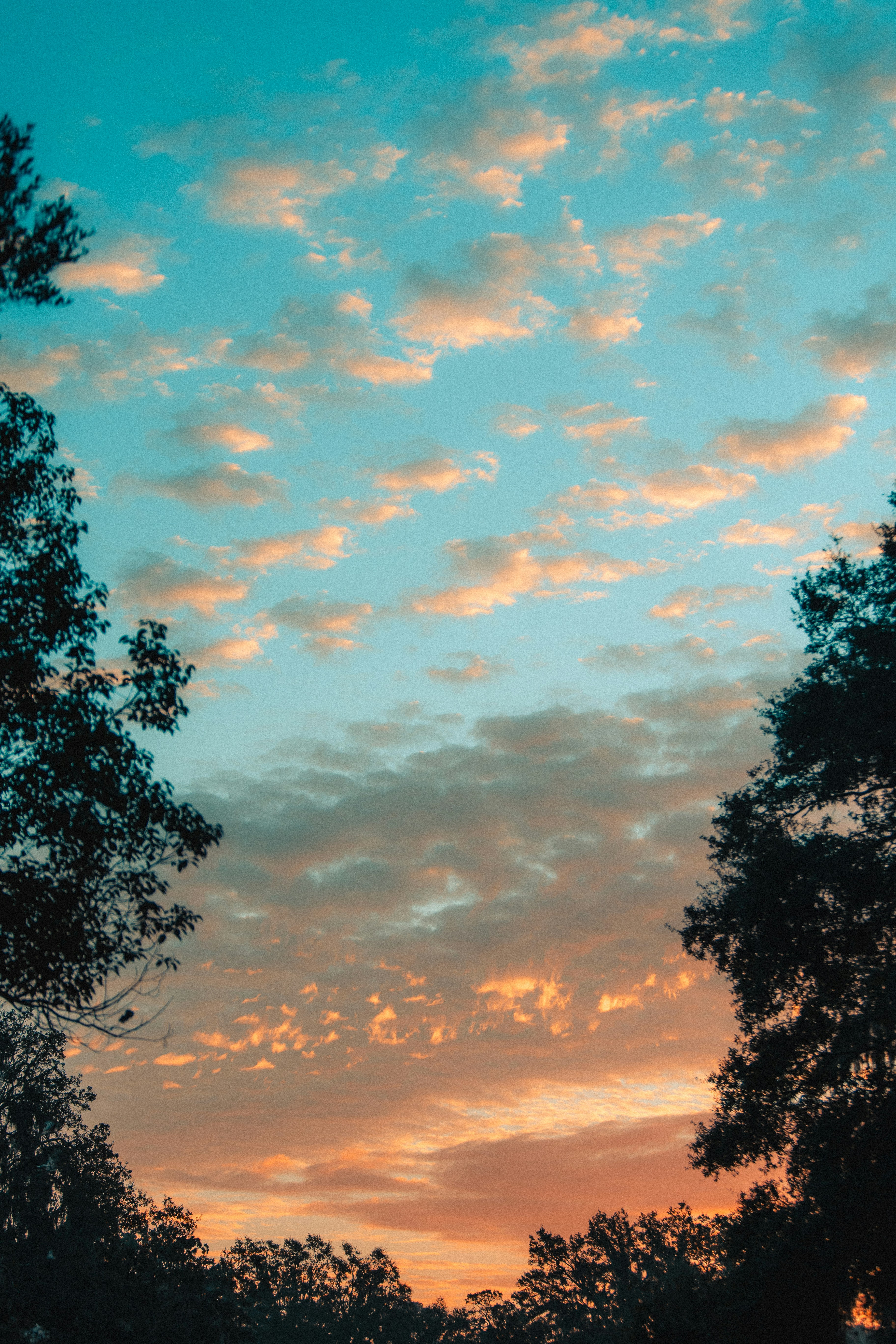 Photo by andrew_creative