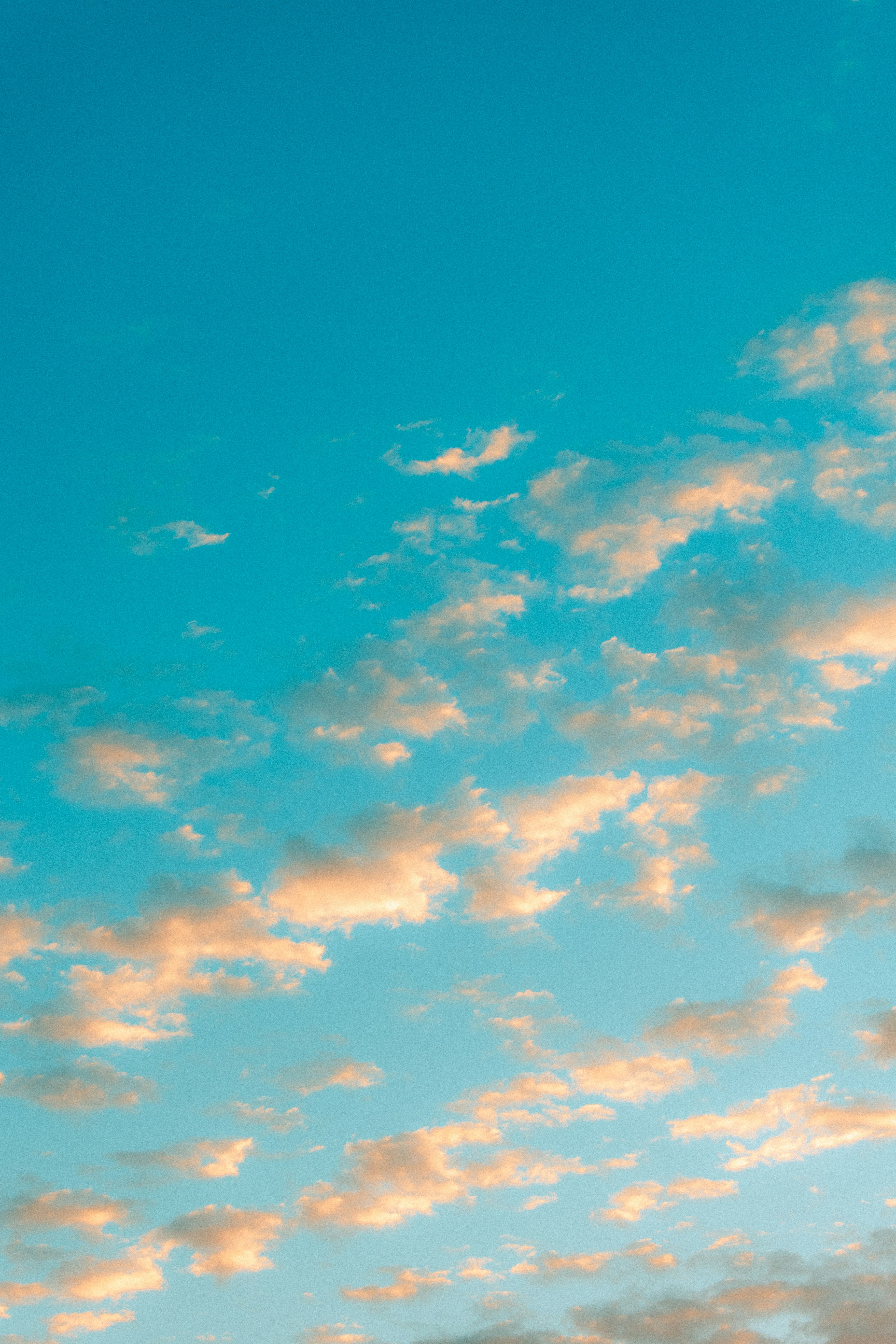 Photo by andrew_creative