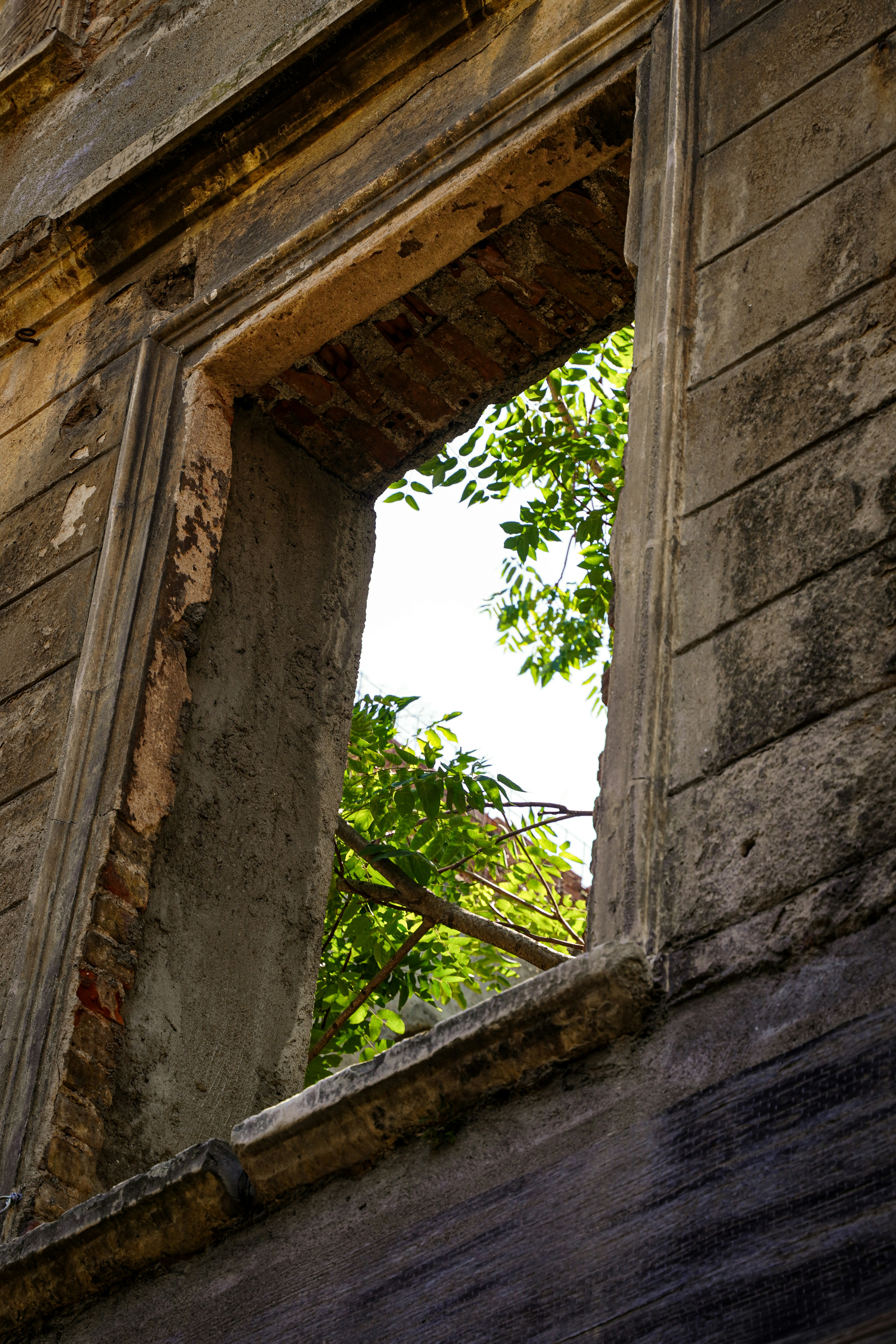 Photo by yarensphotoworks