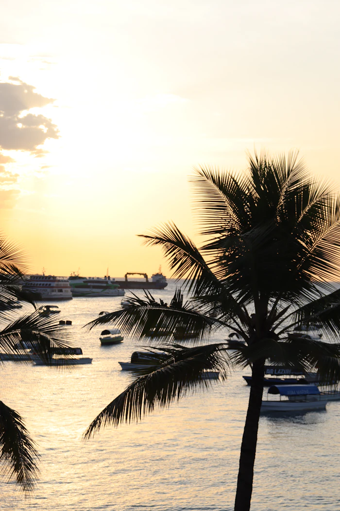 Zanzibar Spice Islands photo 6