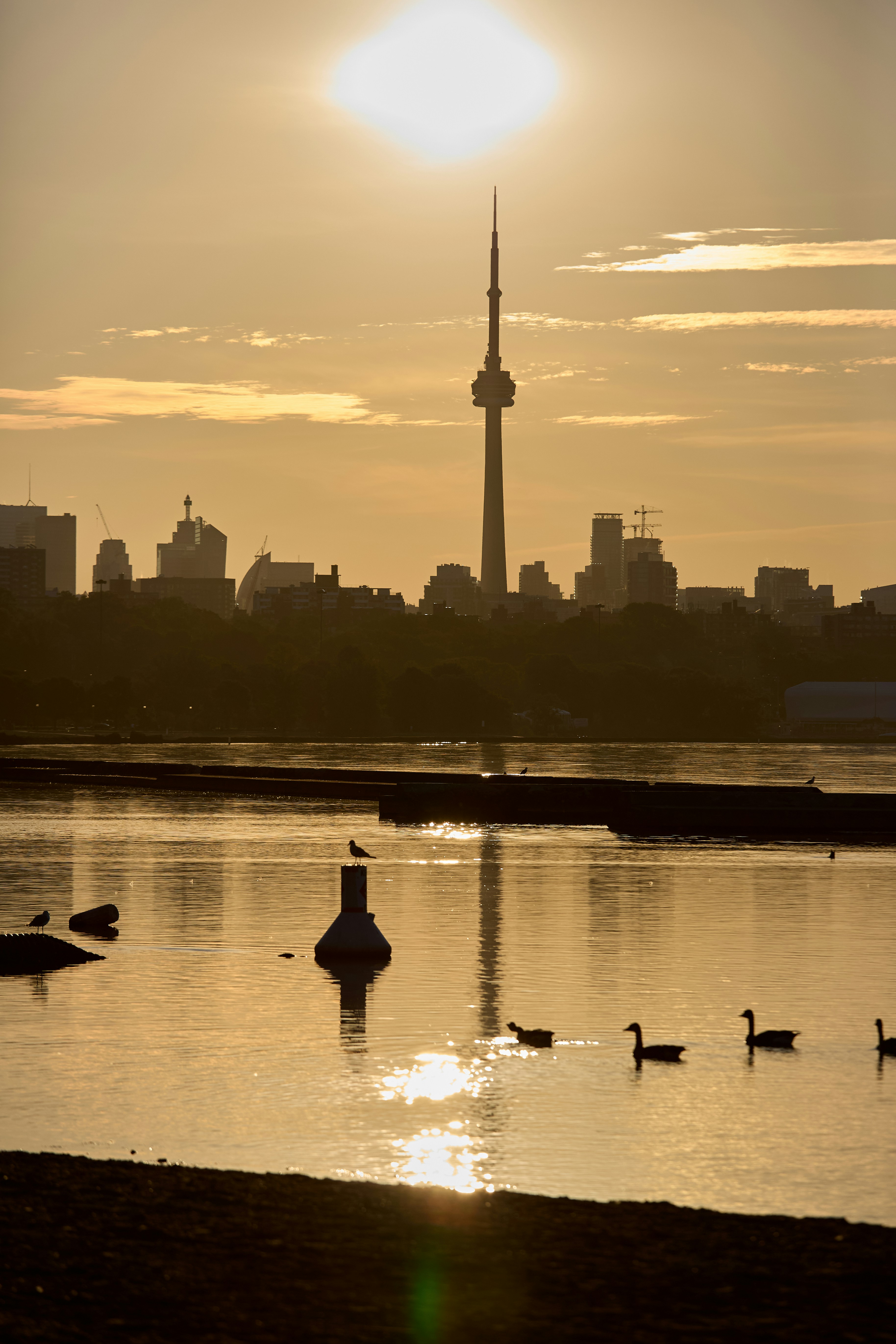 Lake Ontario Waterfront photo 3