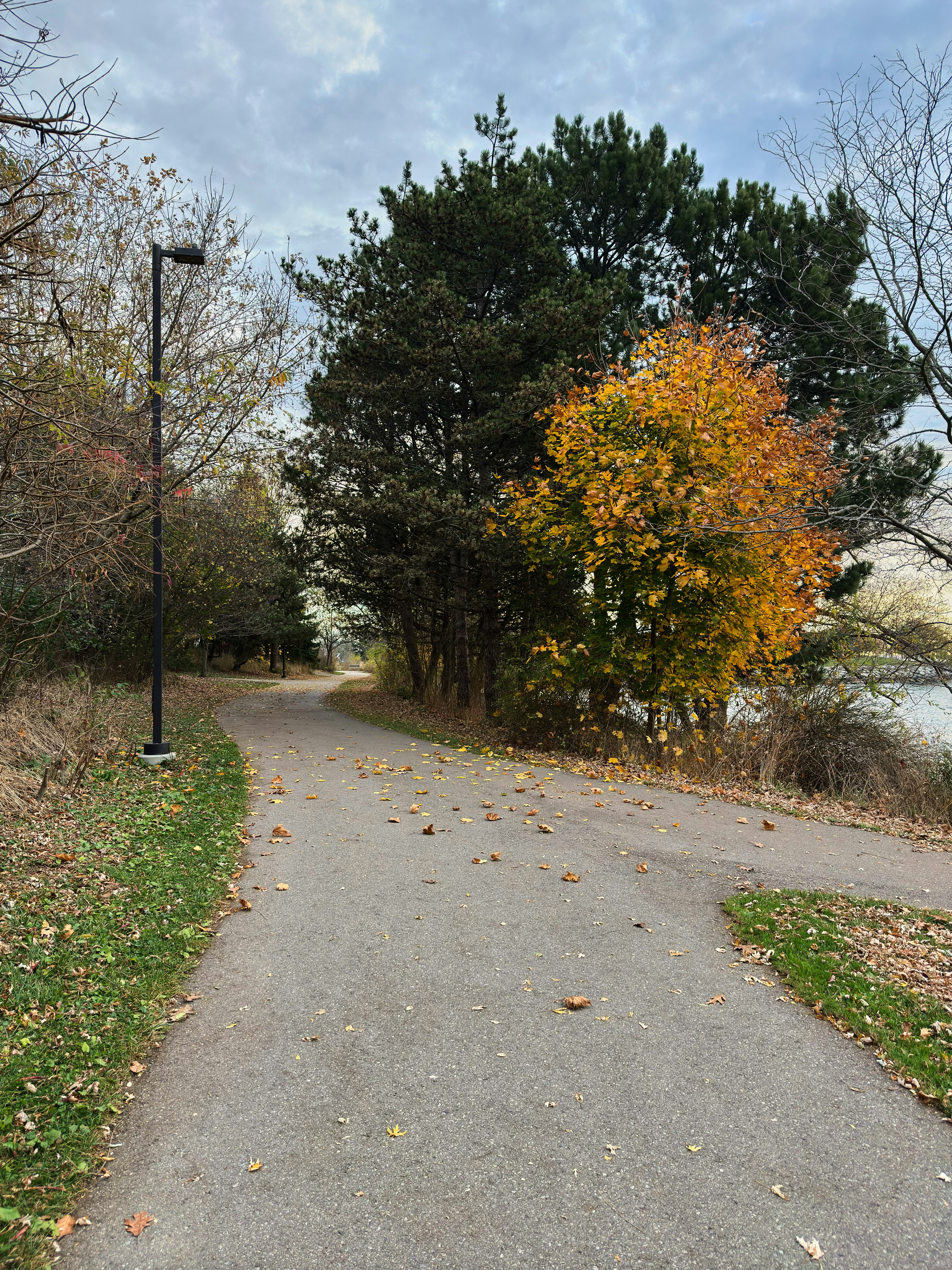 Photo by ashforma