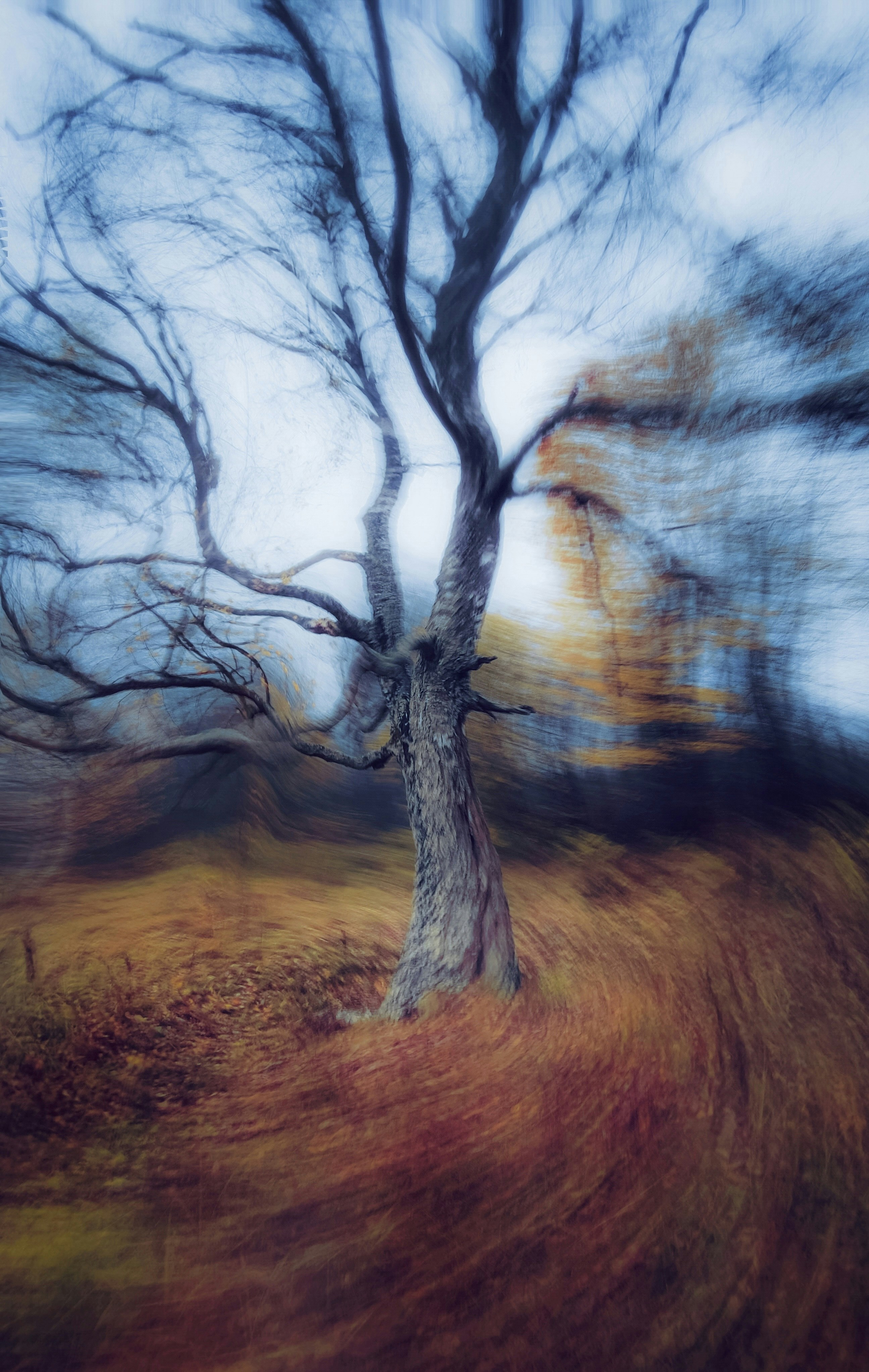 Photo by eugene_golovesov