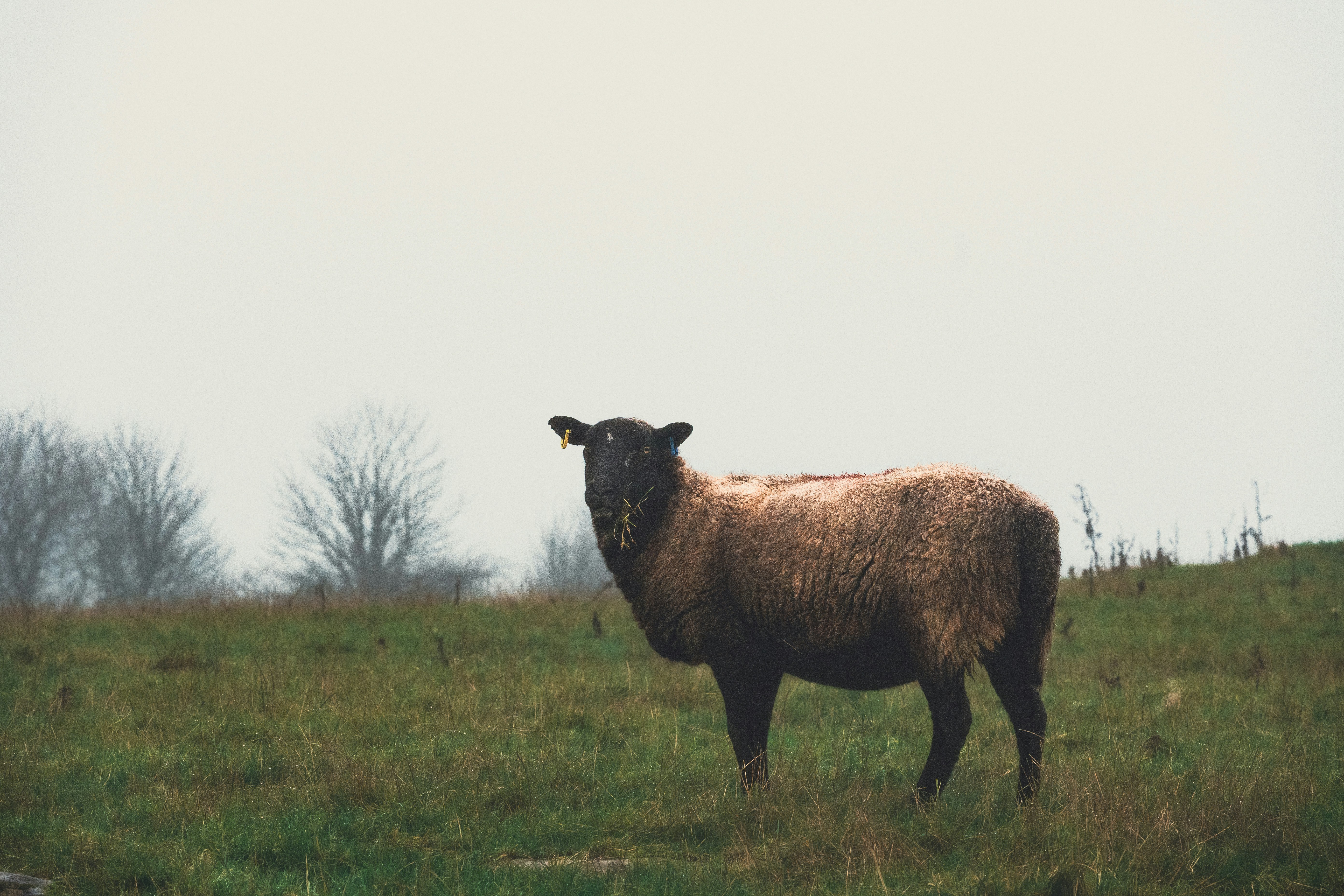 Photo by nathan_wong