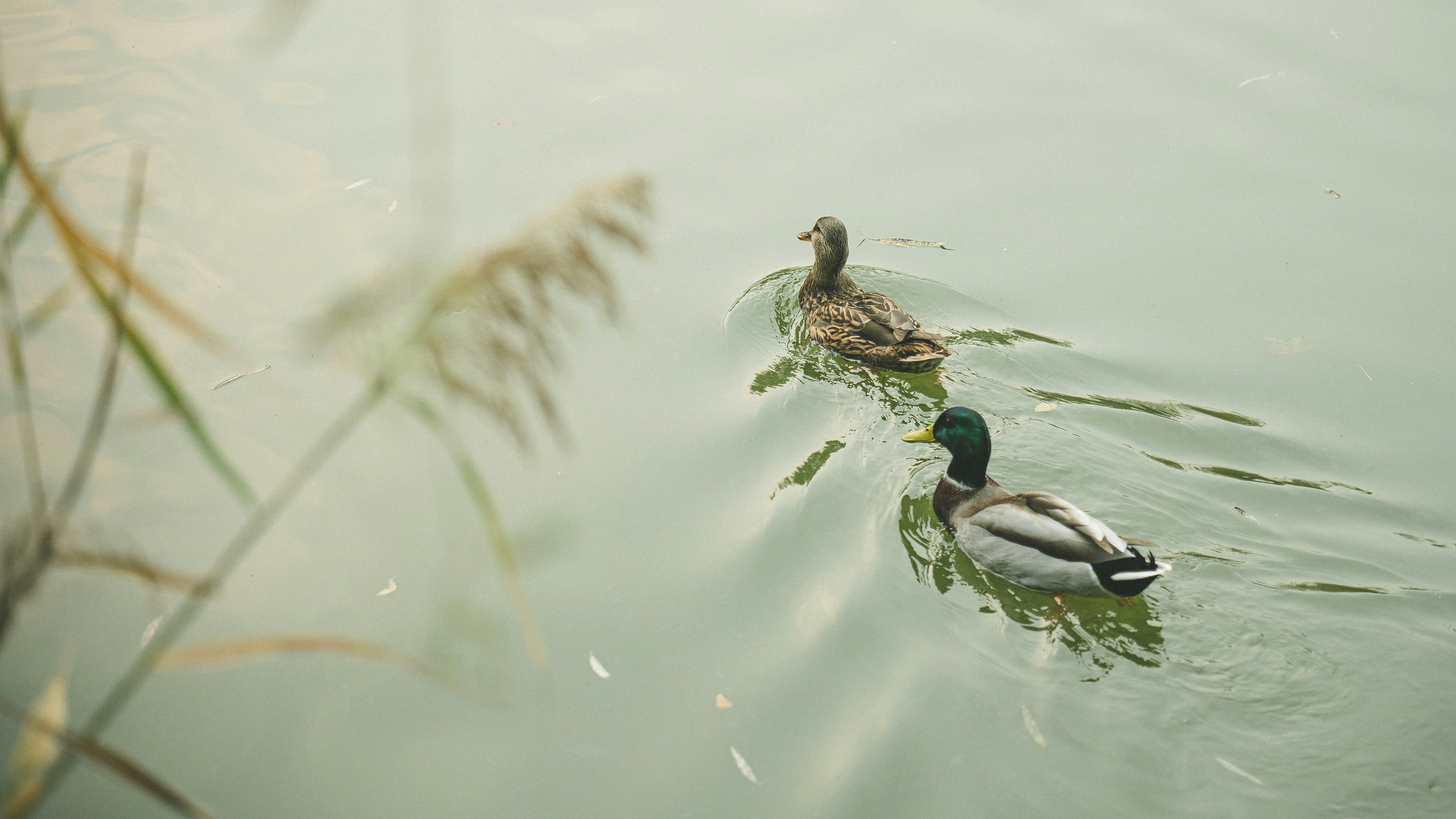 Photo by peek_a_boo_who