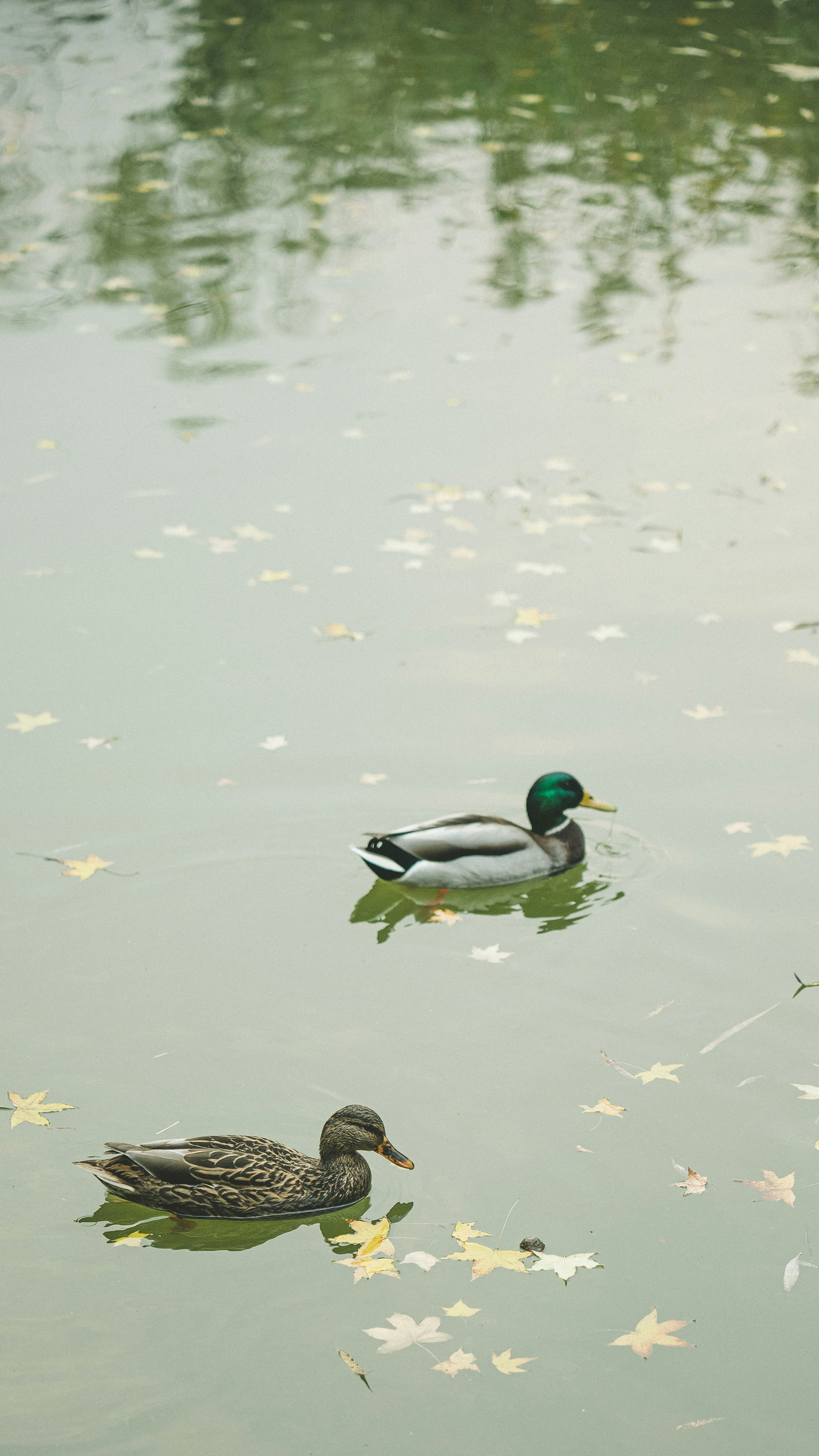 Photo by peek_a_boo_who