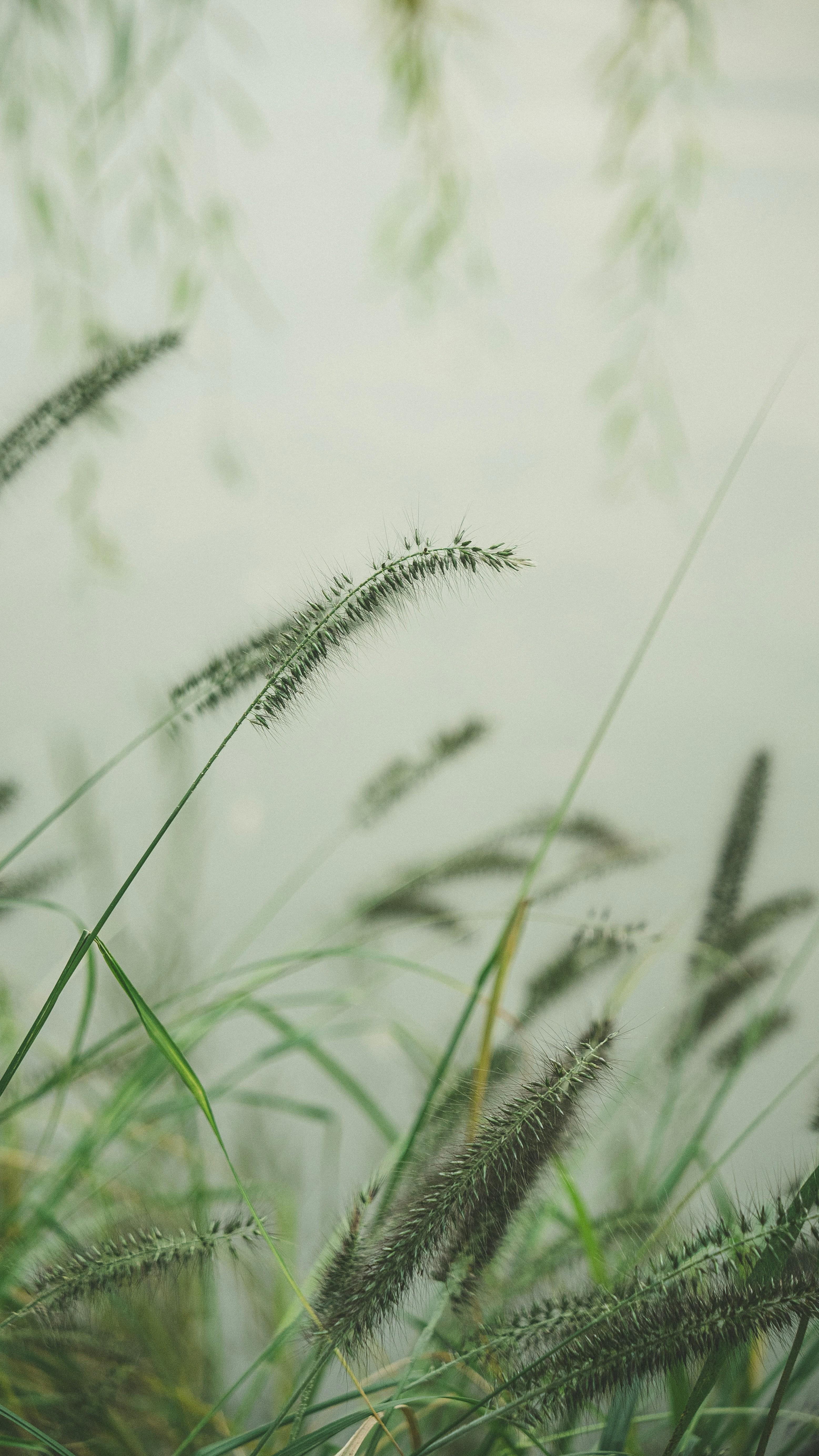 Photo by peek_a_boo_who