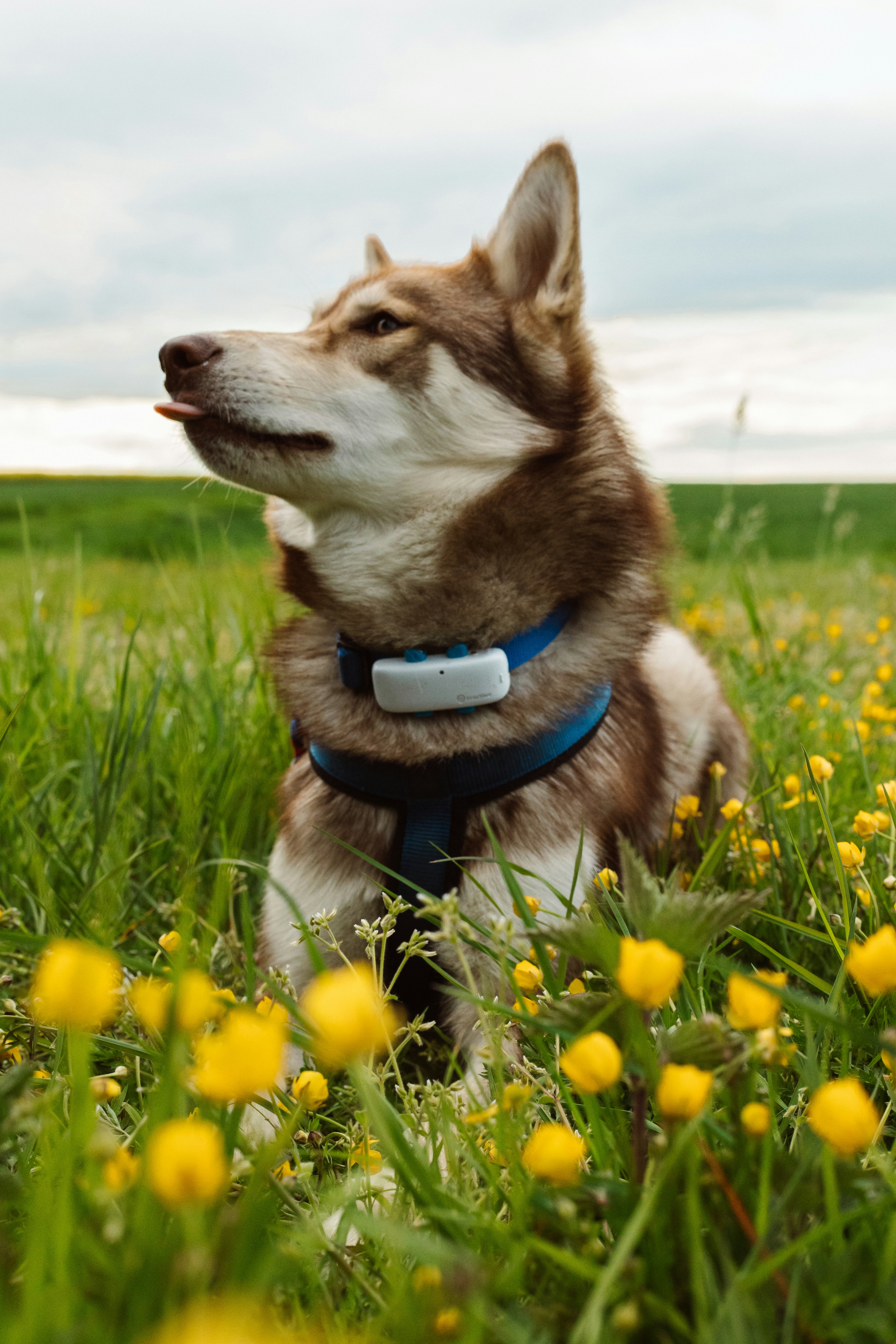 Photo by sophia_marlena