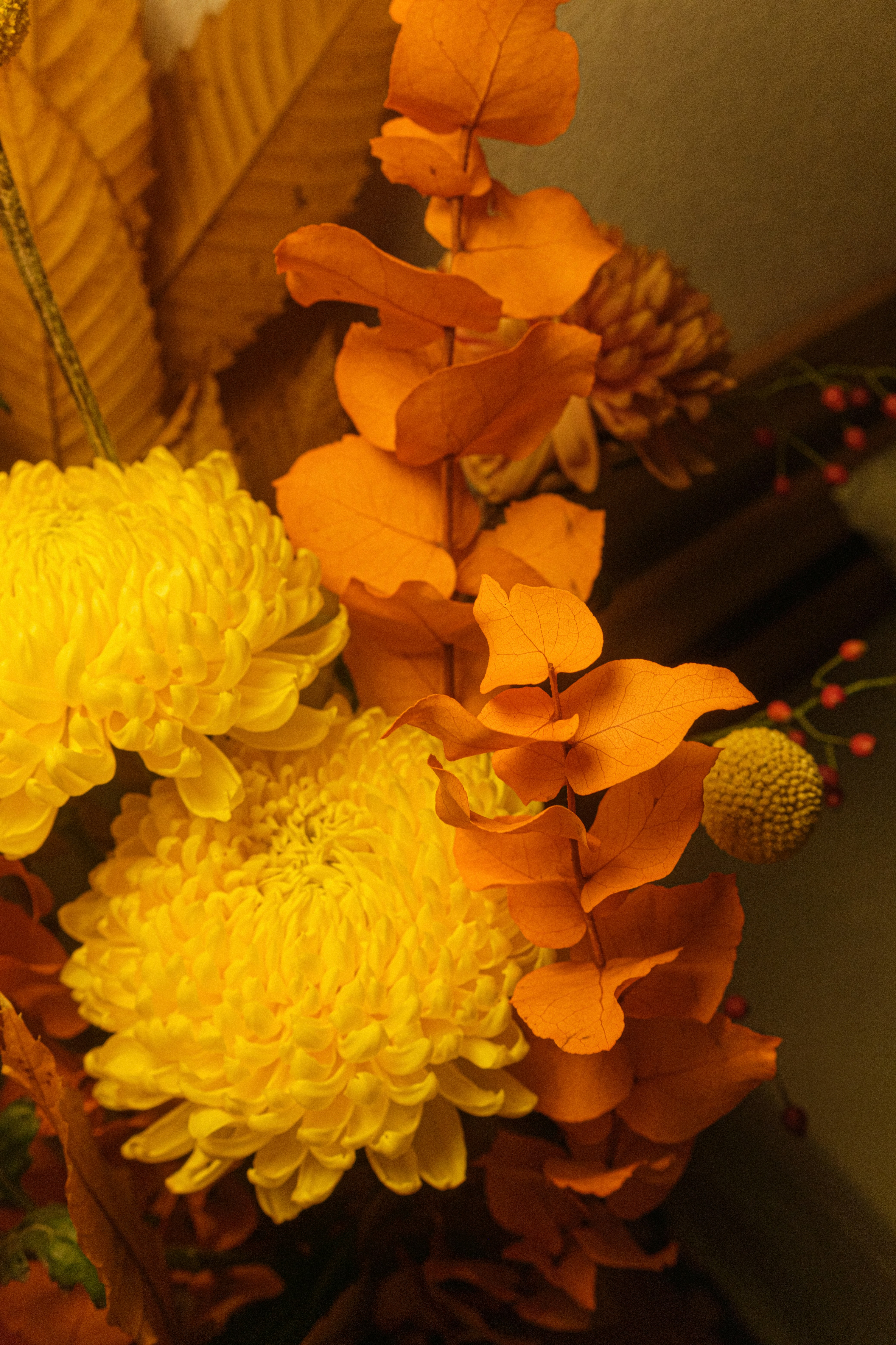 Photo by tobolenkoph