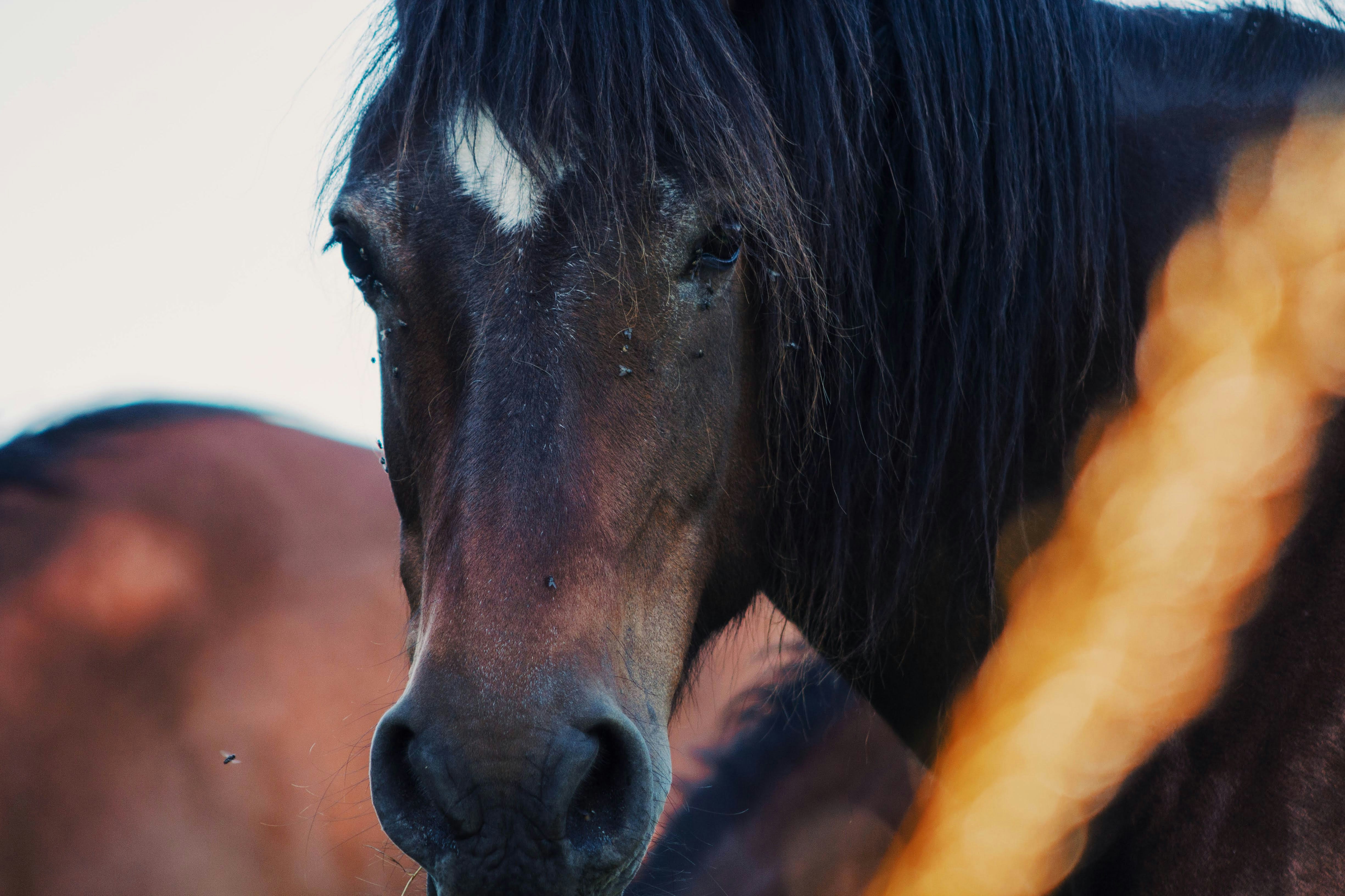 Photo by elise_engel