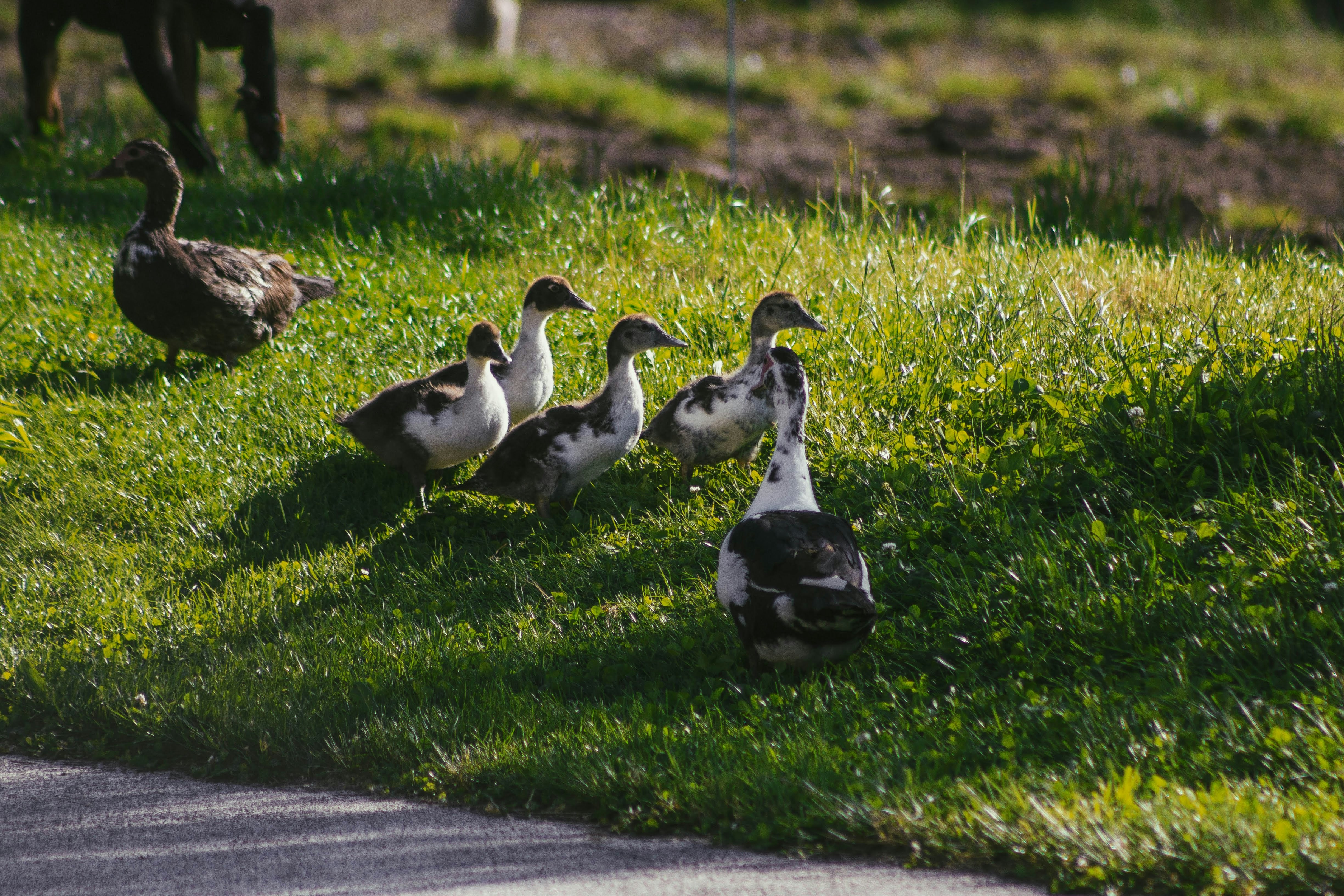 Photo by elise_engel