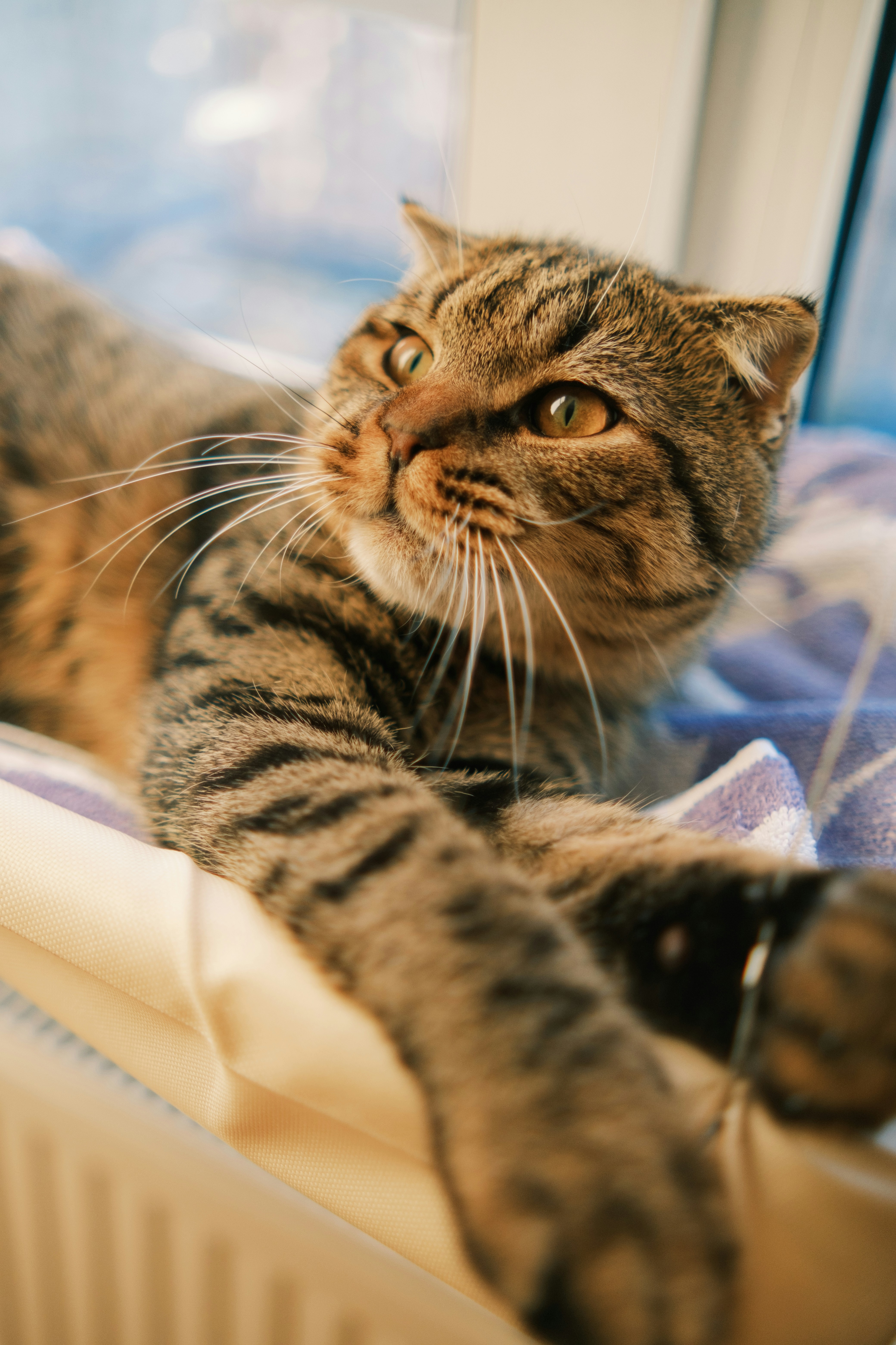 Peaceful Observation: Quiet Corners and Low-Traffic Zones (image credits: unsplash)