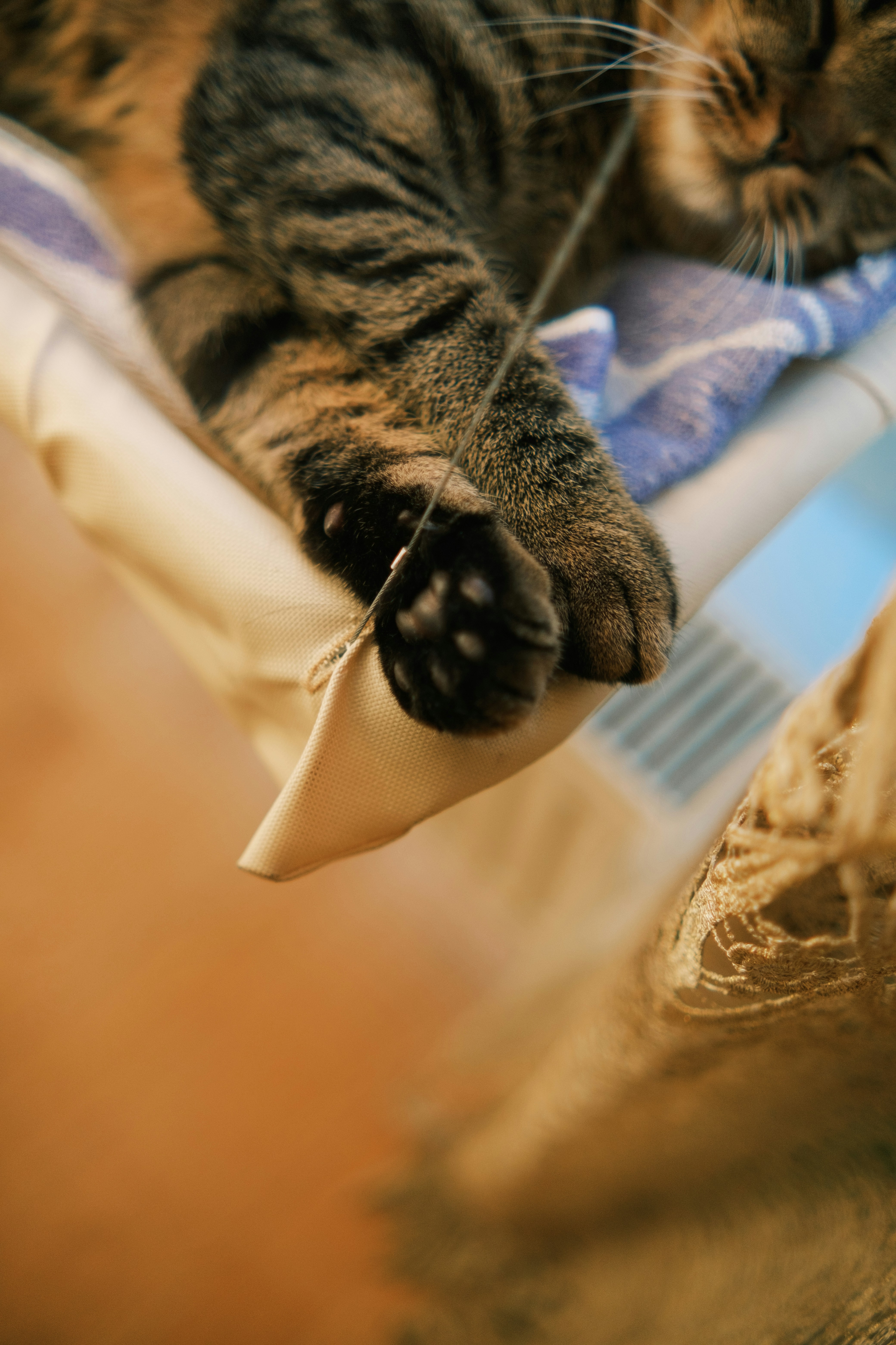 Photo by tobolenkoph