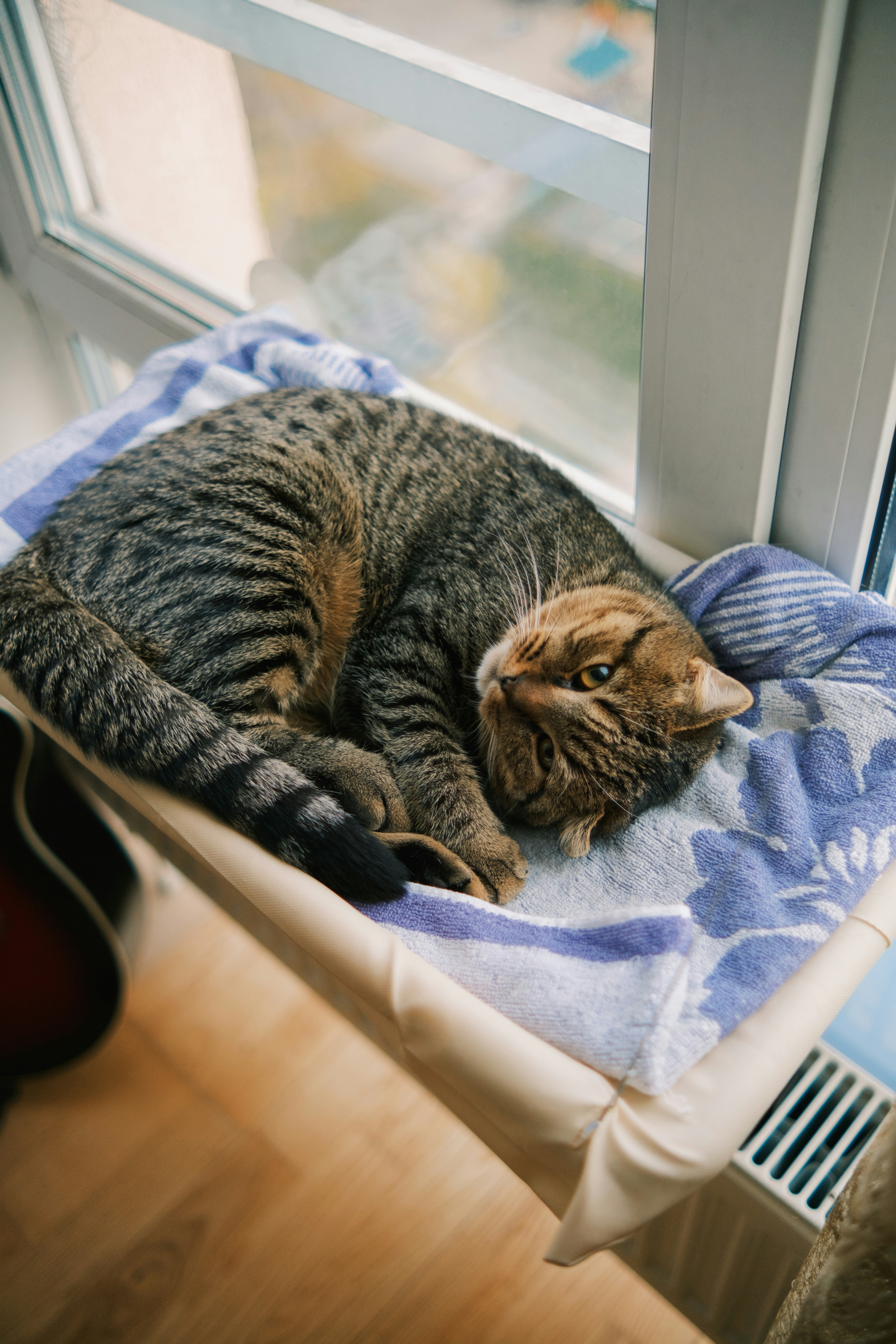 A cat laying on top of a blanket on a window sill