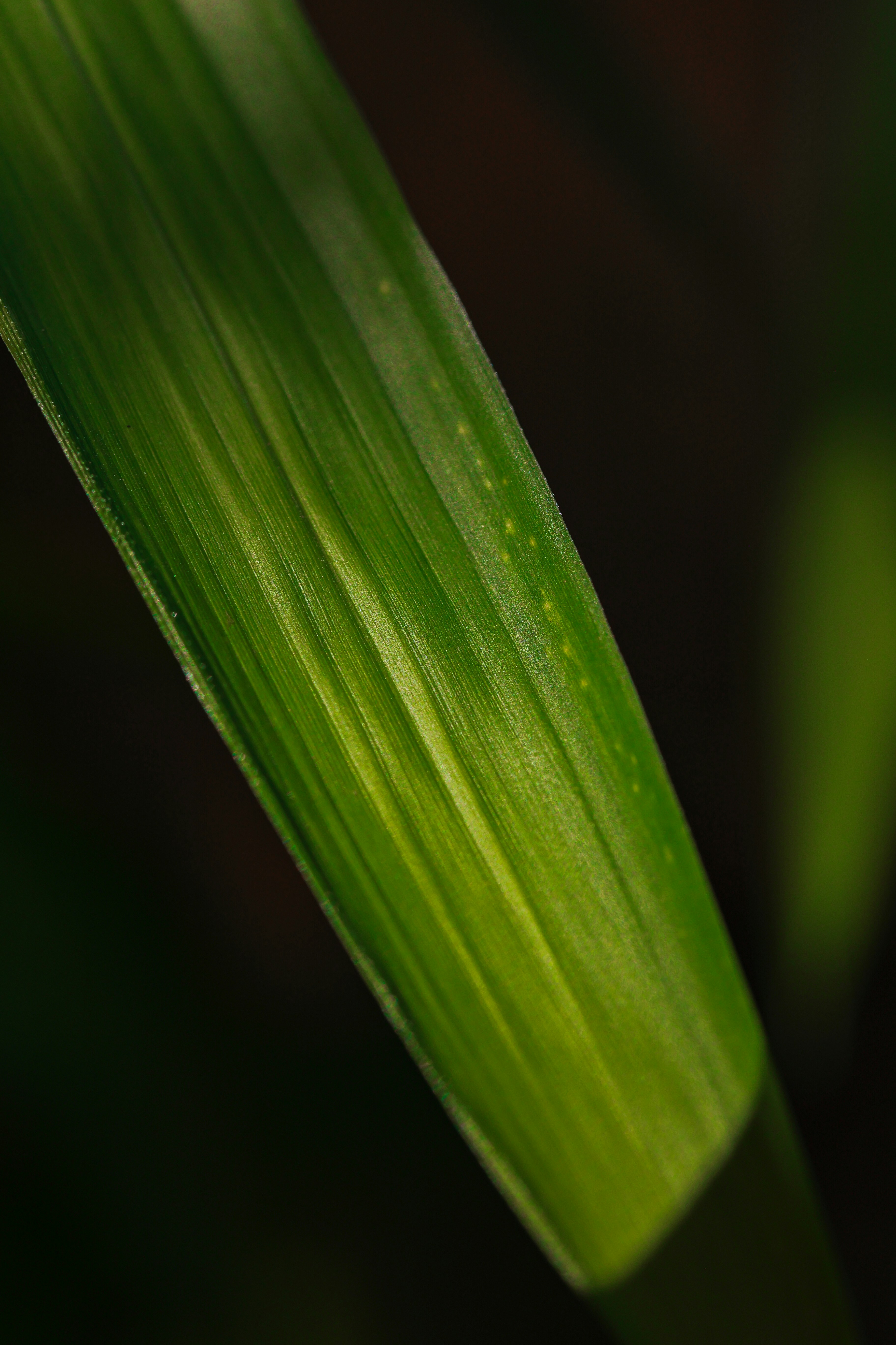 Photo by hieuanhcauam