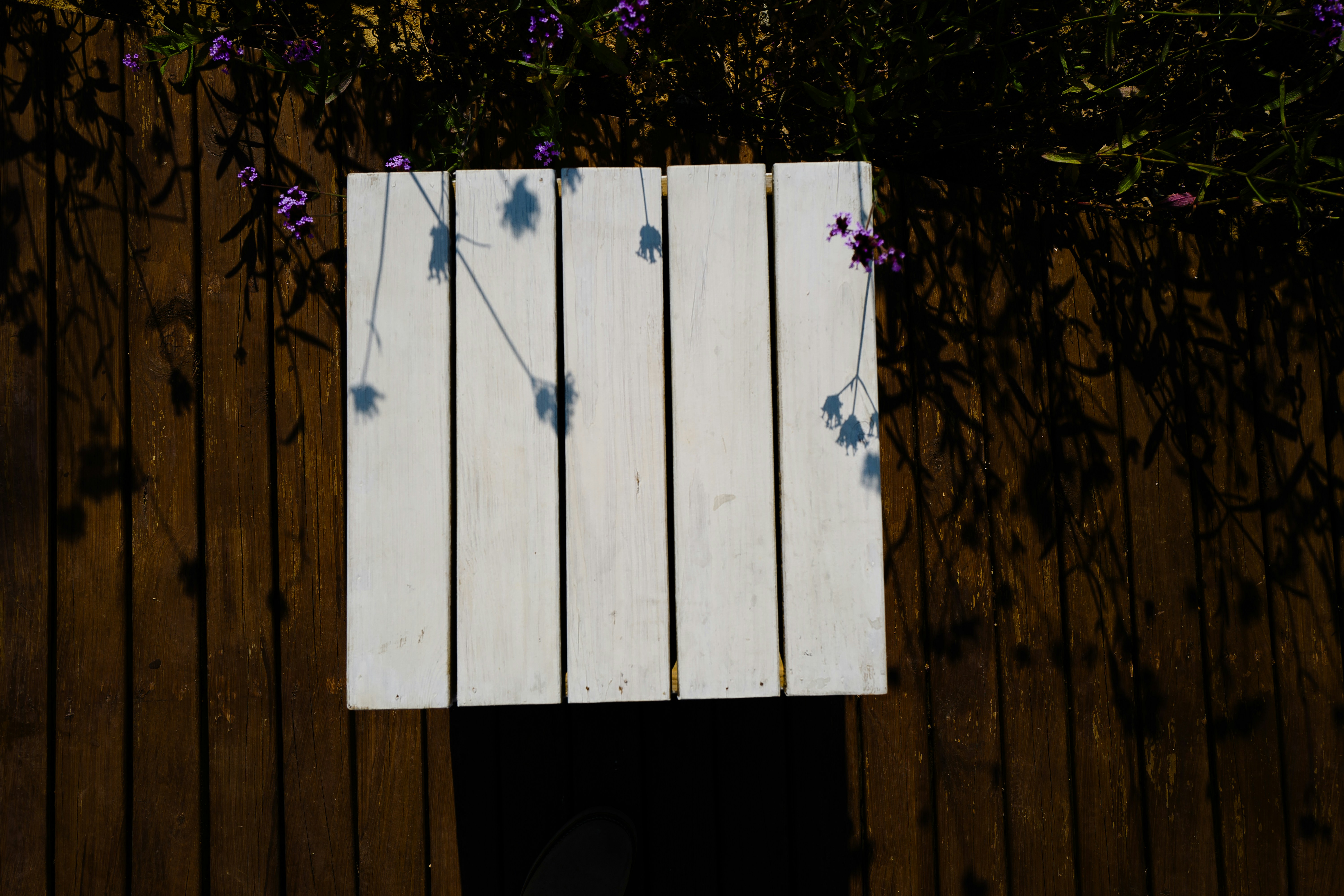 A wooden fence with purple flowers growing on it
