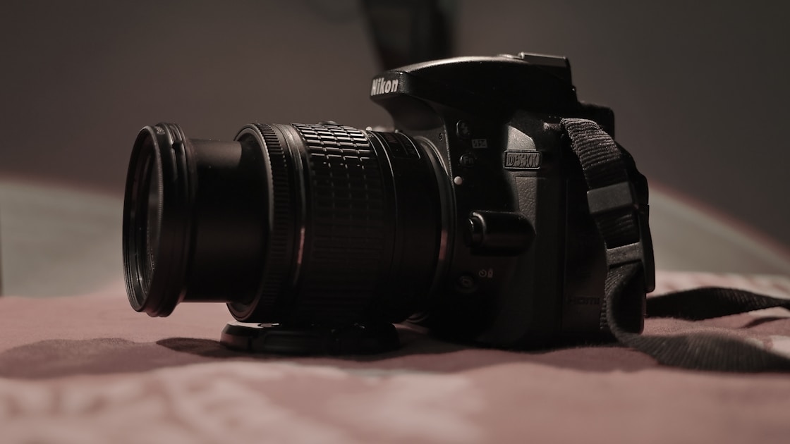 Tierfotografie haustiere in szene setzen — step-by-step visual example