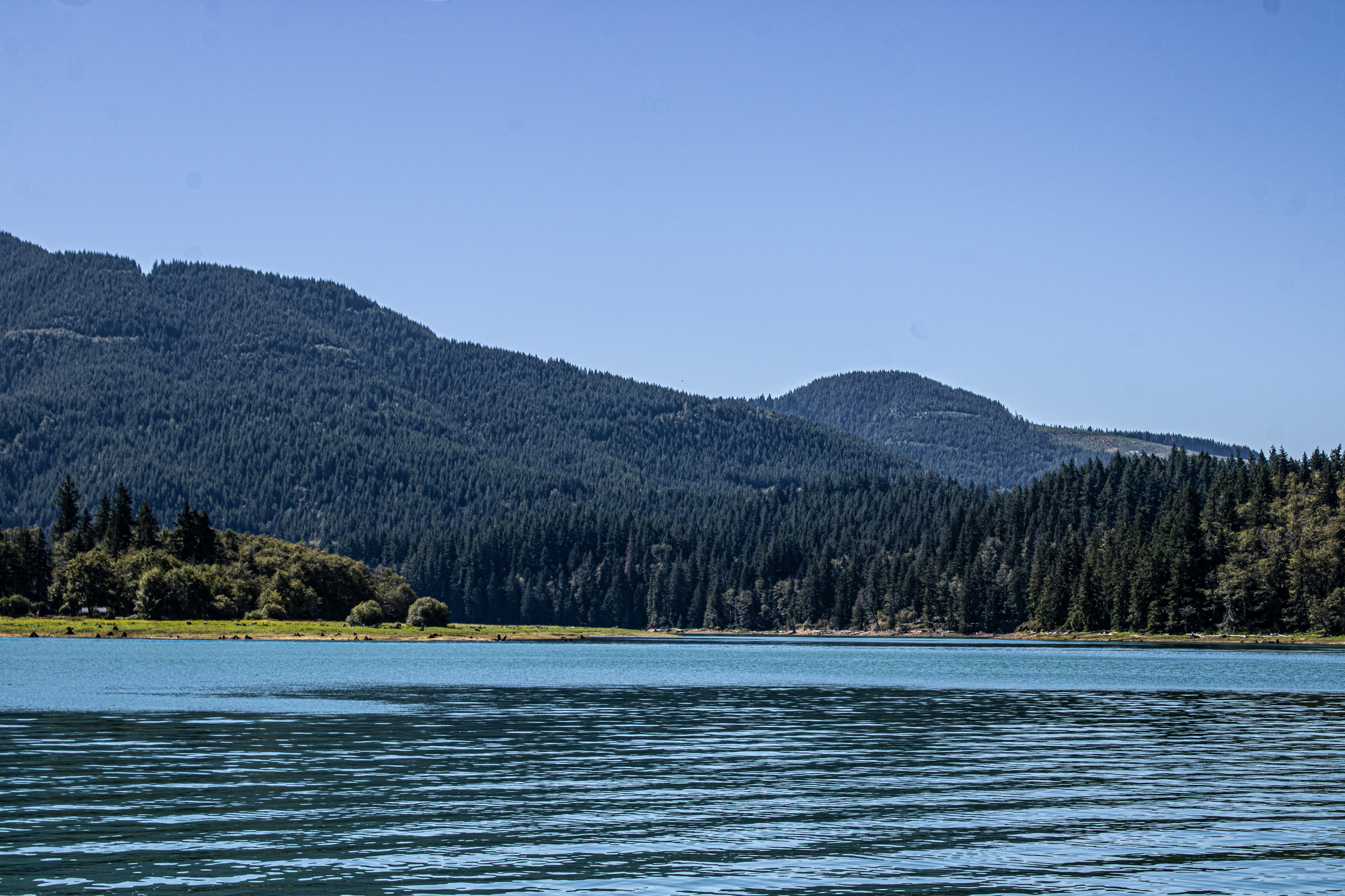 Photo by prphotography262