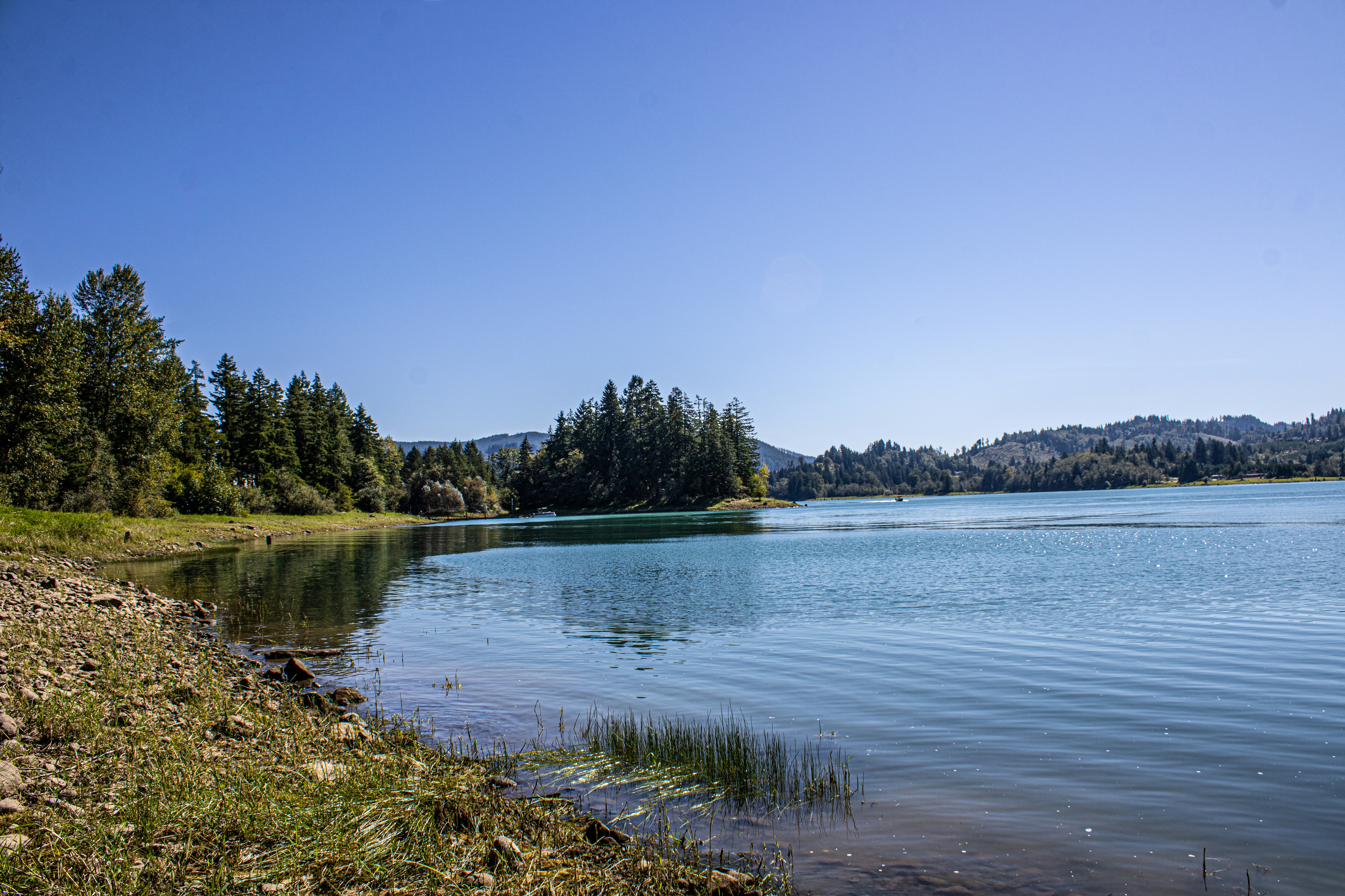 Photo by prphotography262