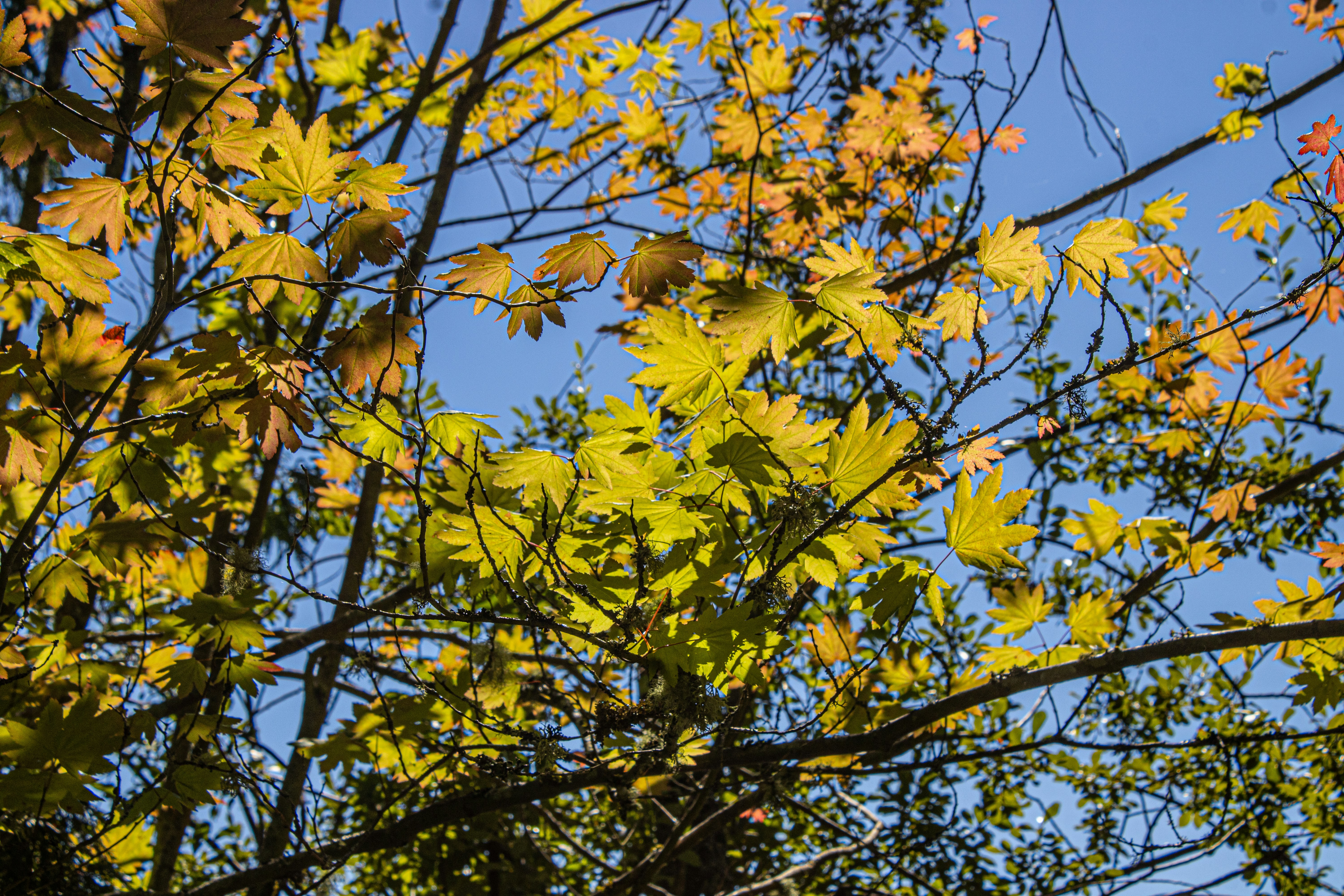 Photo by prphotography262