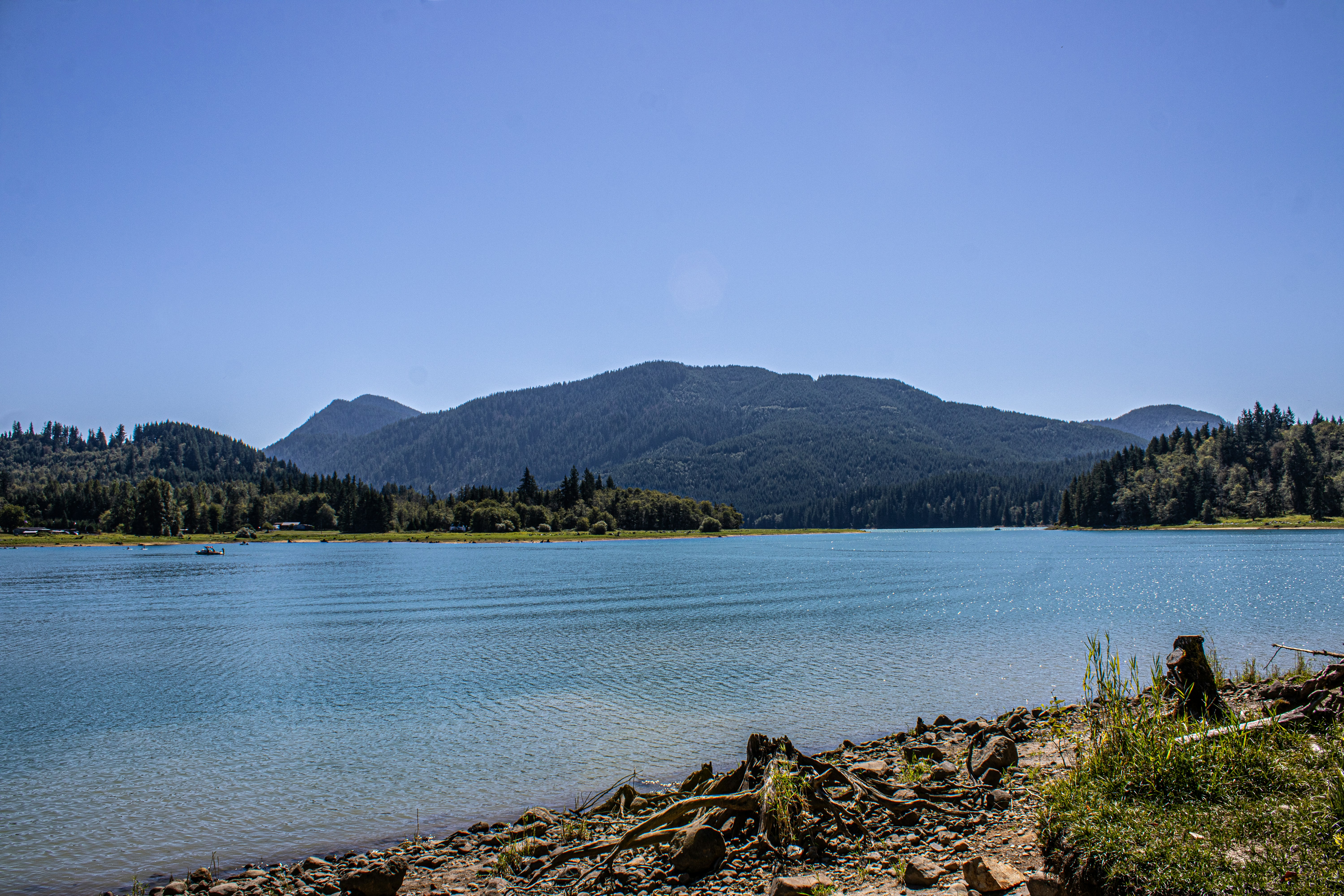 Photo by prphotography262