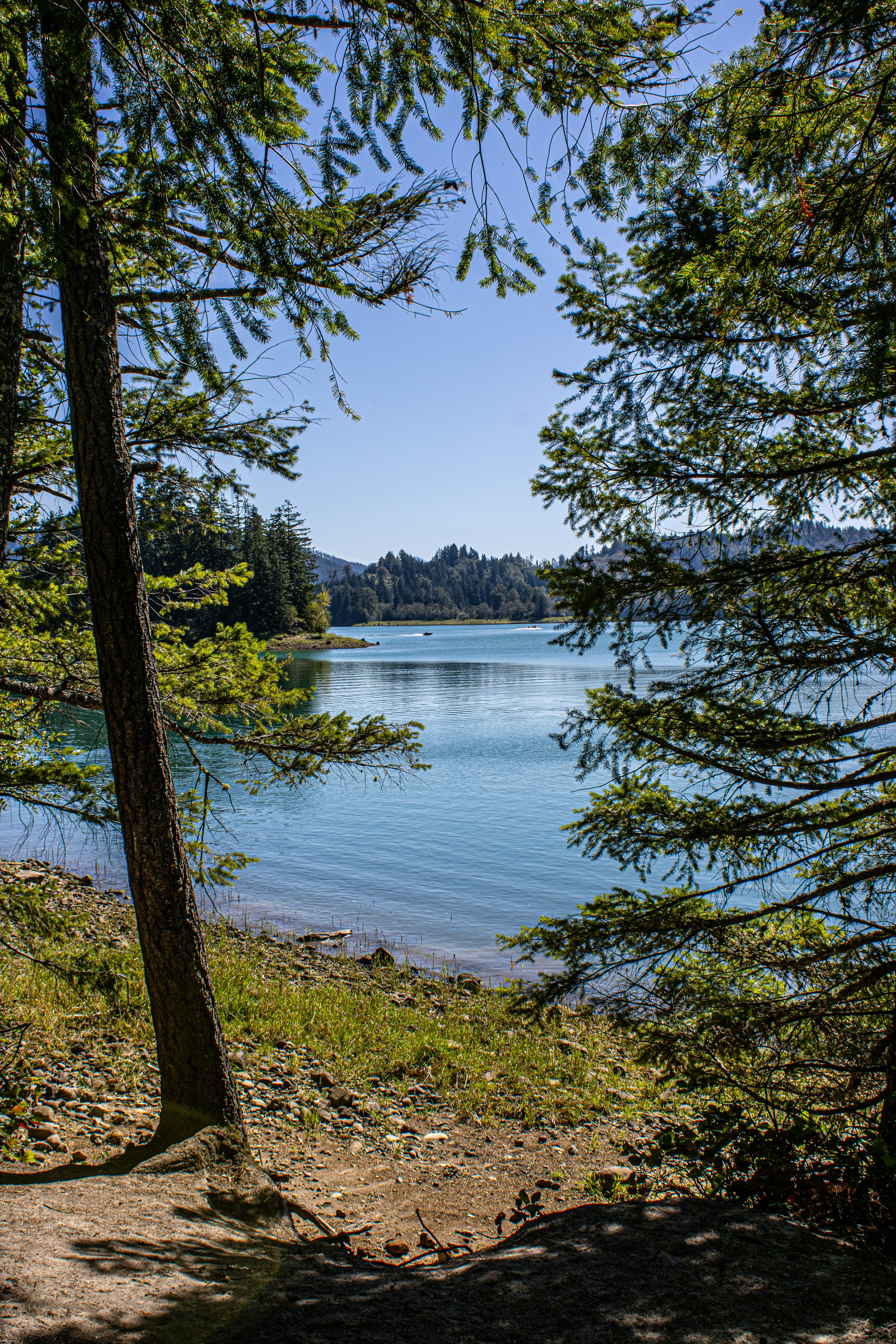 Photo by prphotography262