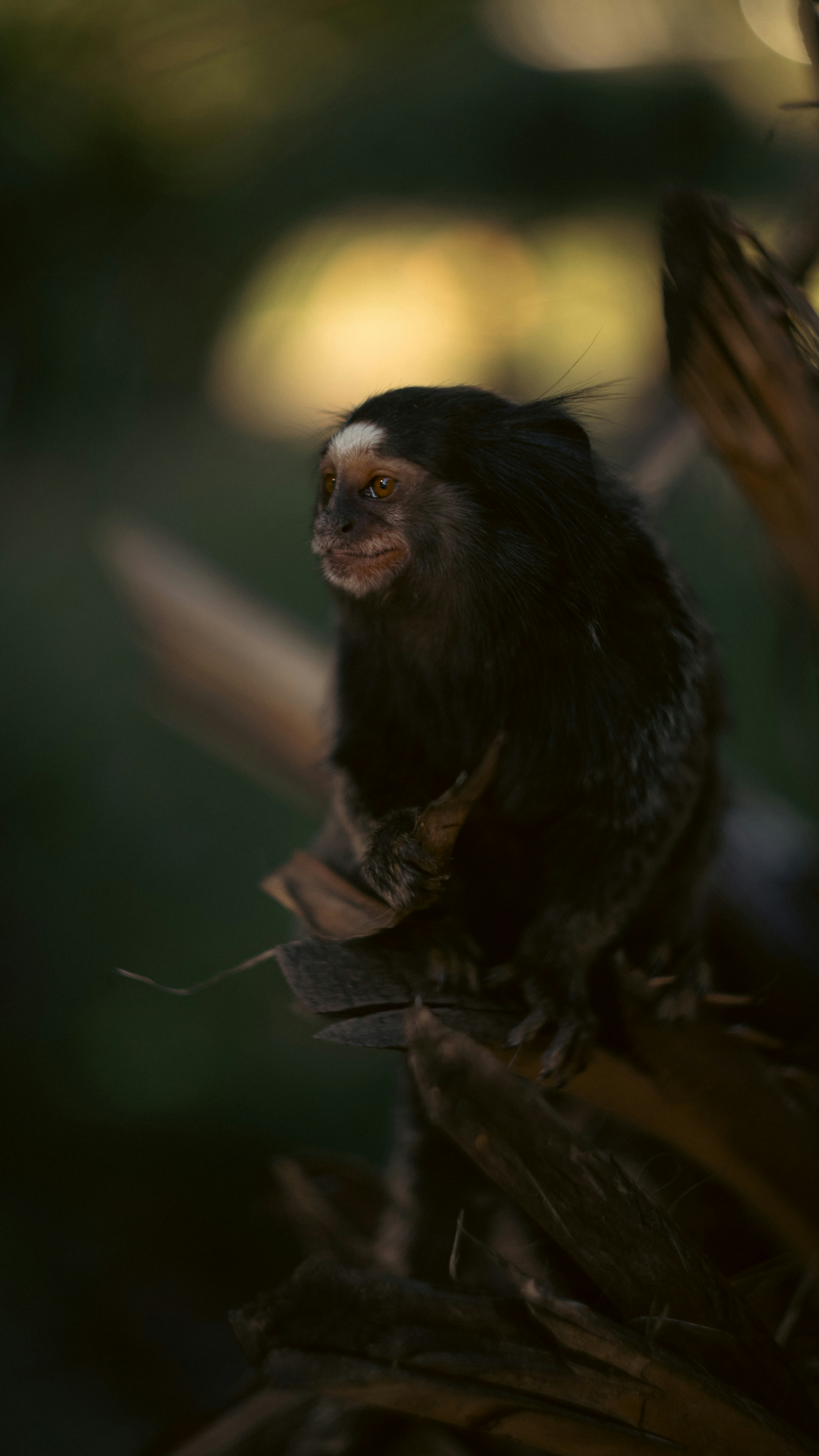 Photo by lucasdalamartaphoto