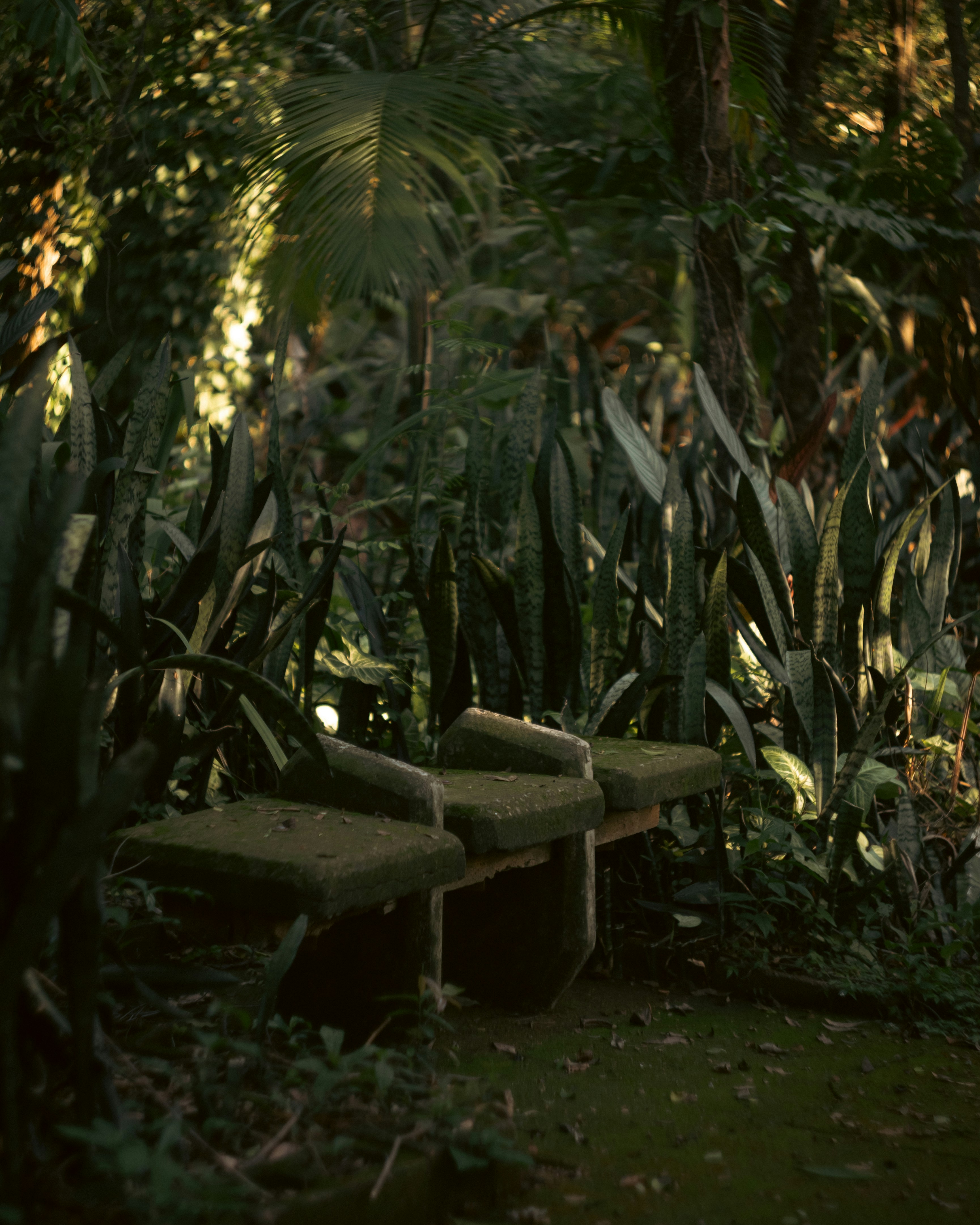 Photo by lucasdalamartaphoto