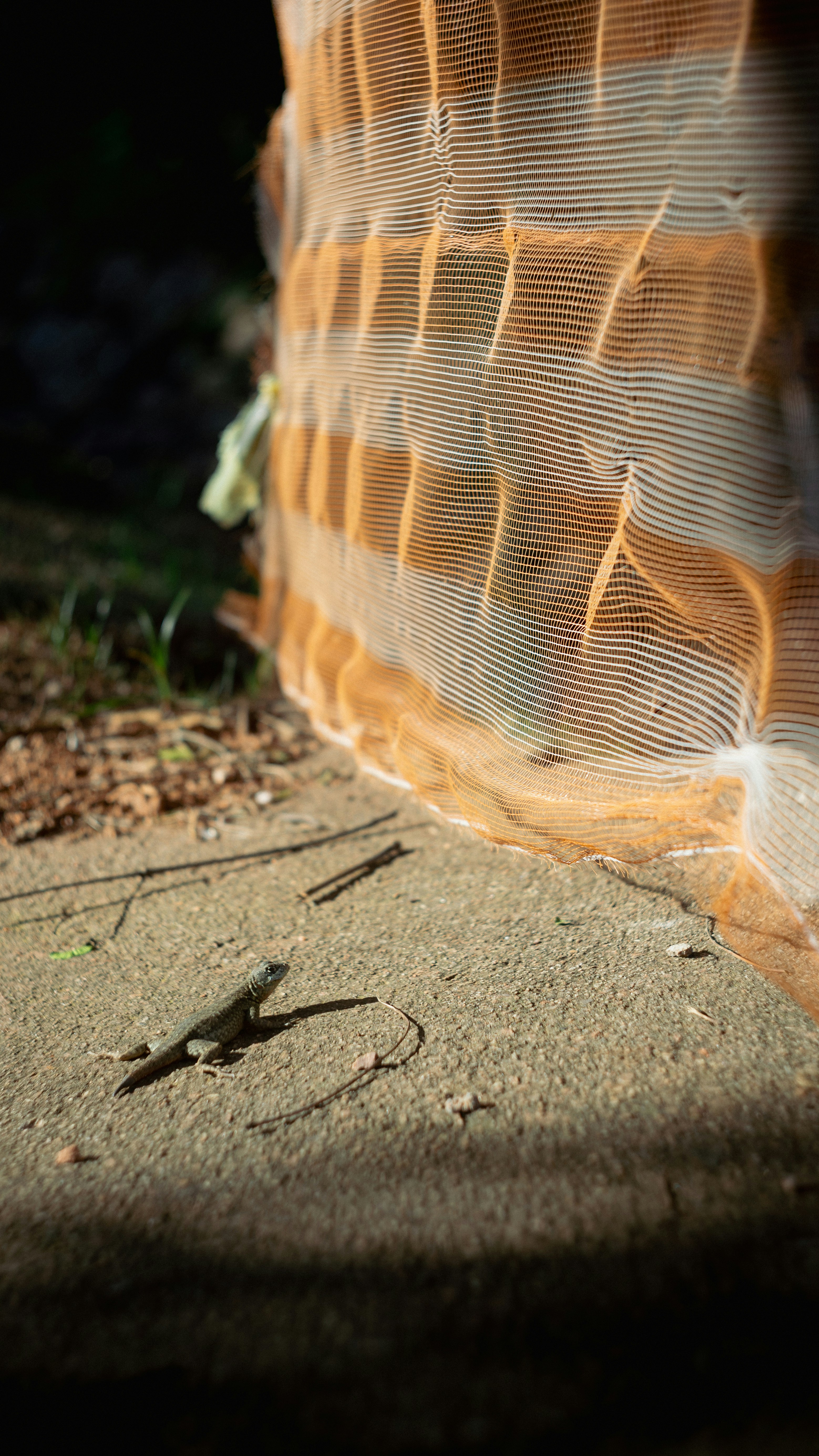 Photo by lucasdalamartaphoto